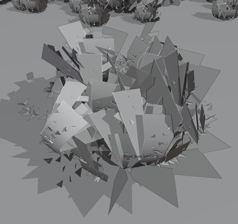 11 Privet Plants Ligustrum Low-poly 3D model_20