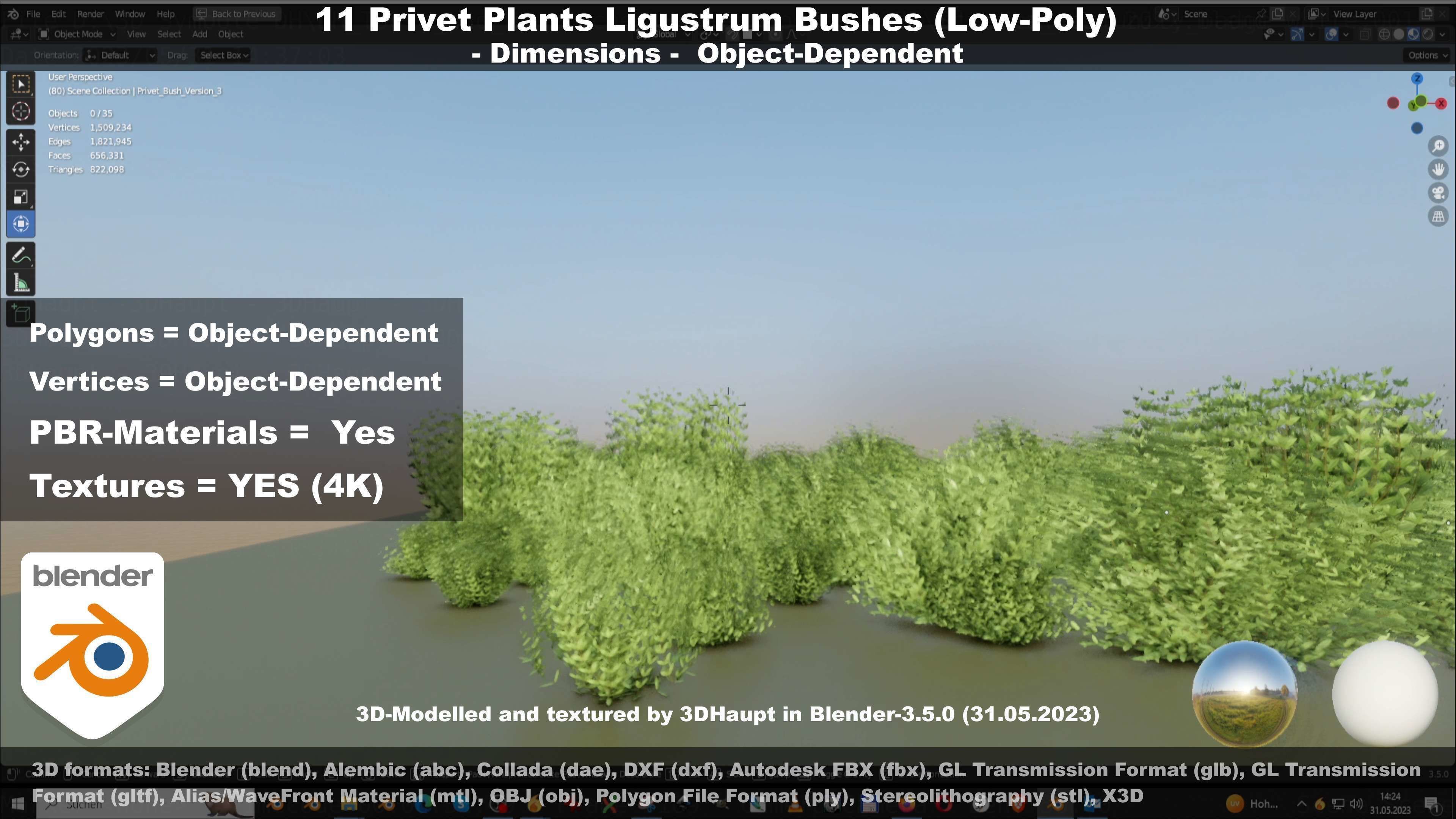 11 Privet Plants Ligustrum Low-poly 3D model_42