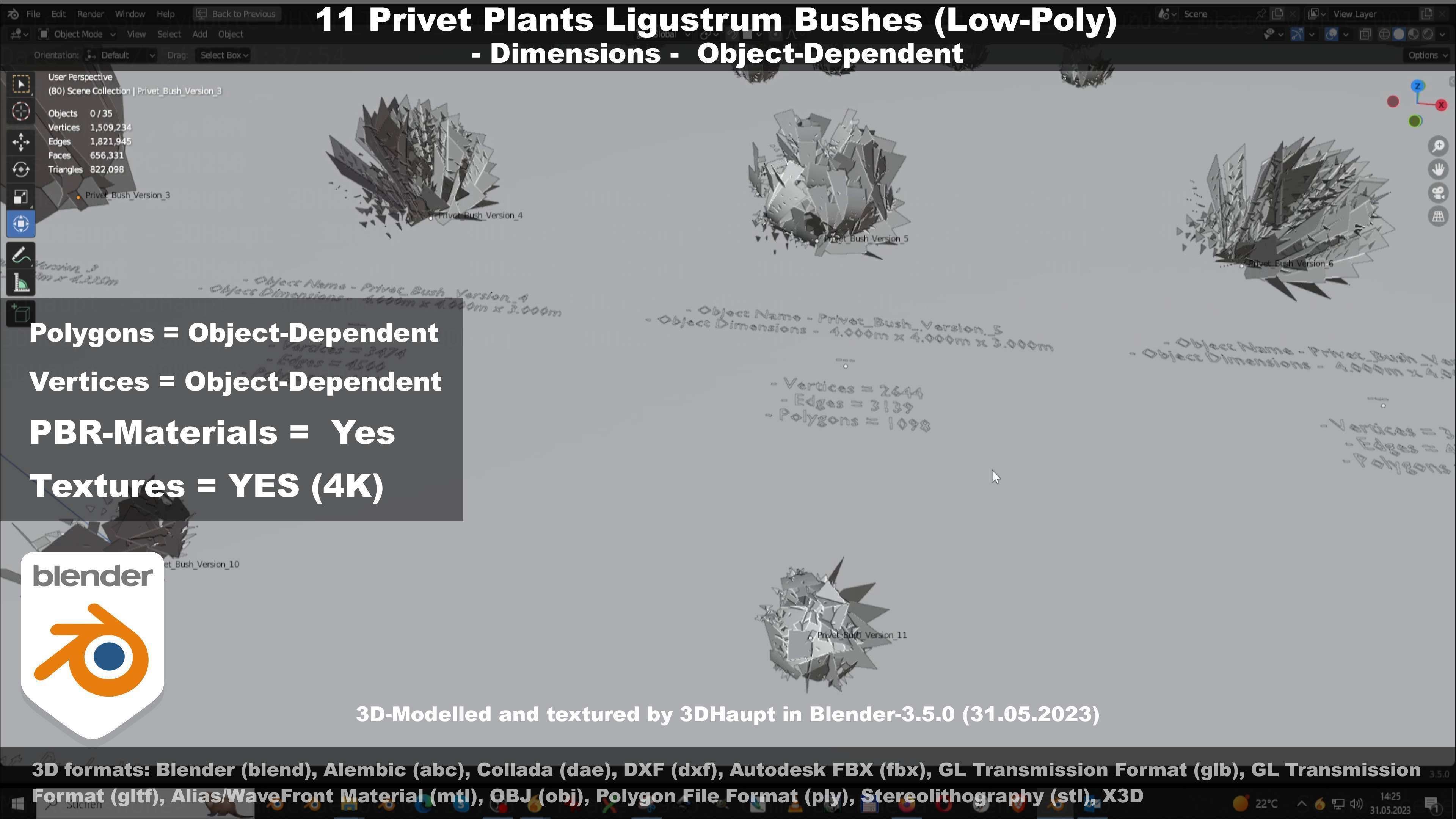 11 Privet Plants Ligustrum Low-poly 3D model_24