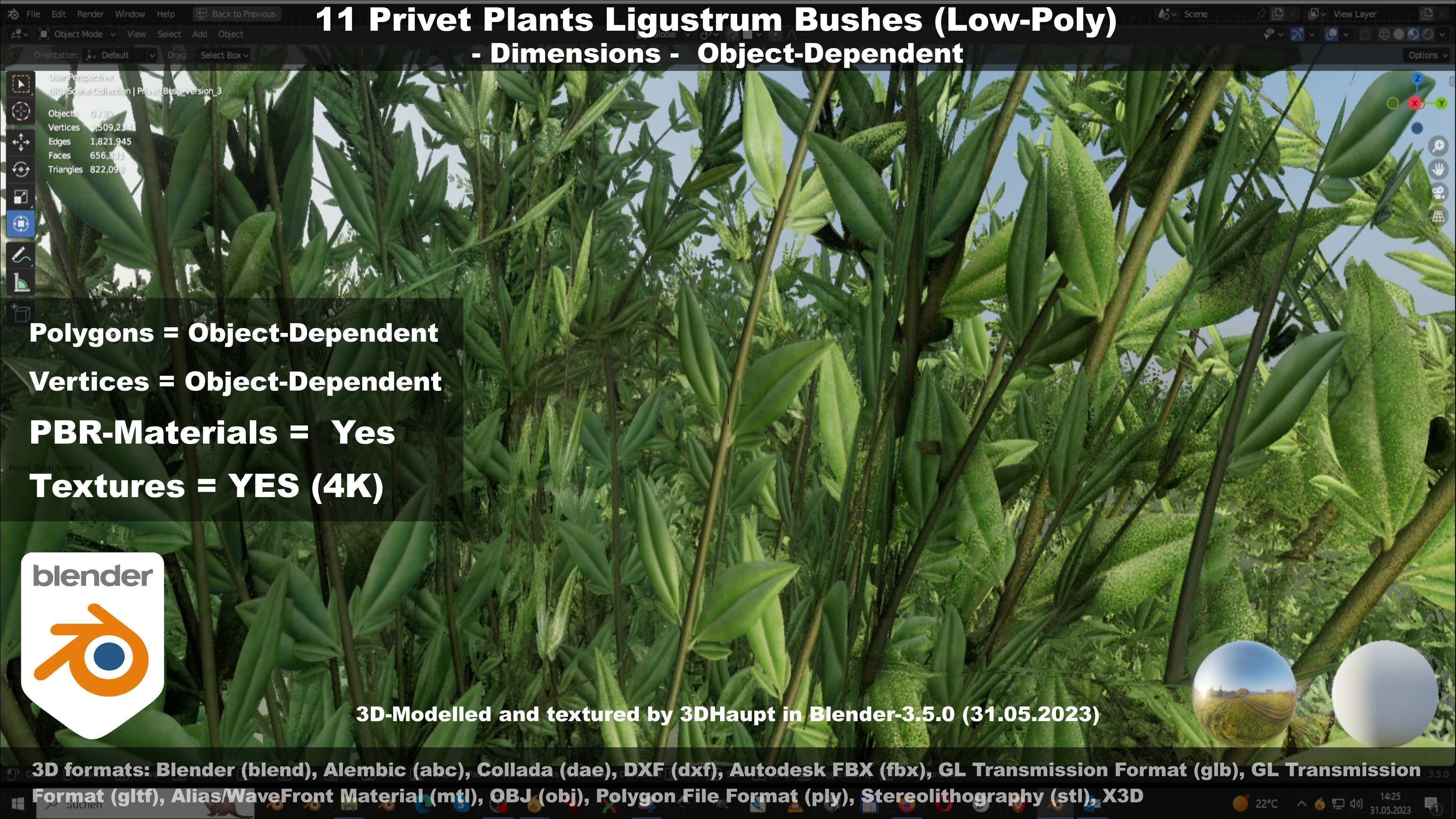 11 Privet Plants Ligustrum Low-poly 3D model_131