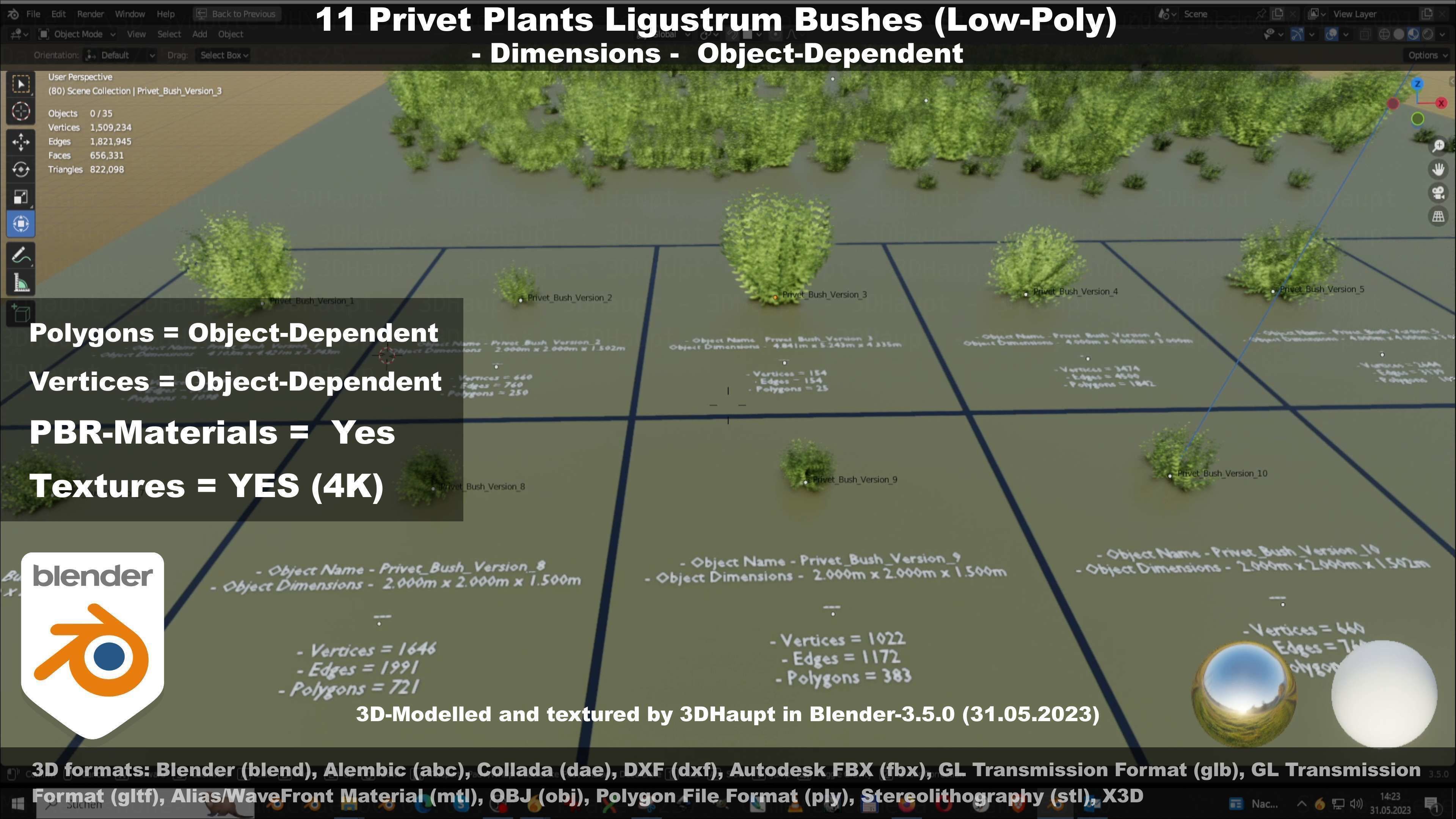11 Privet Plants Ligustrum Low-poly 3D model_38