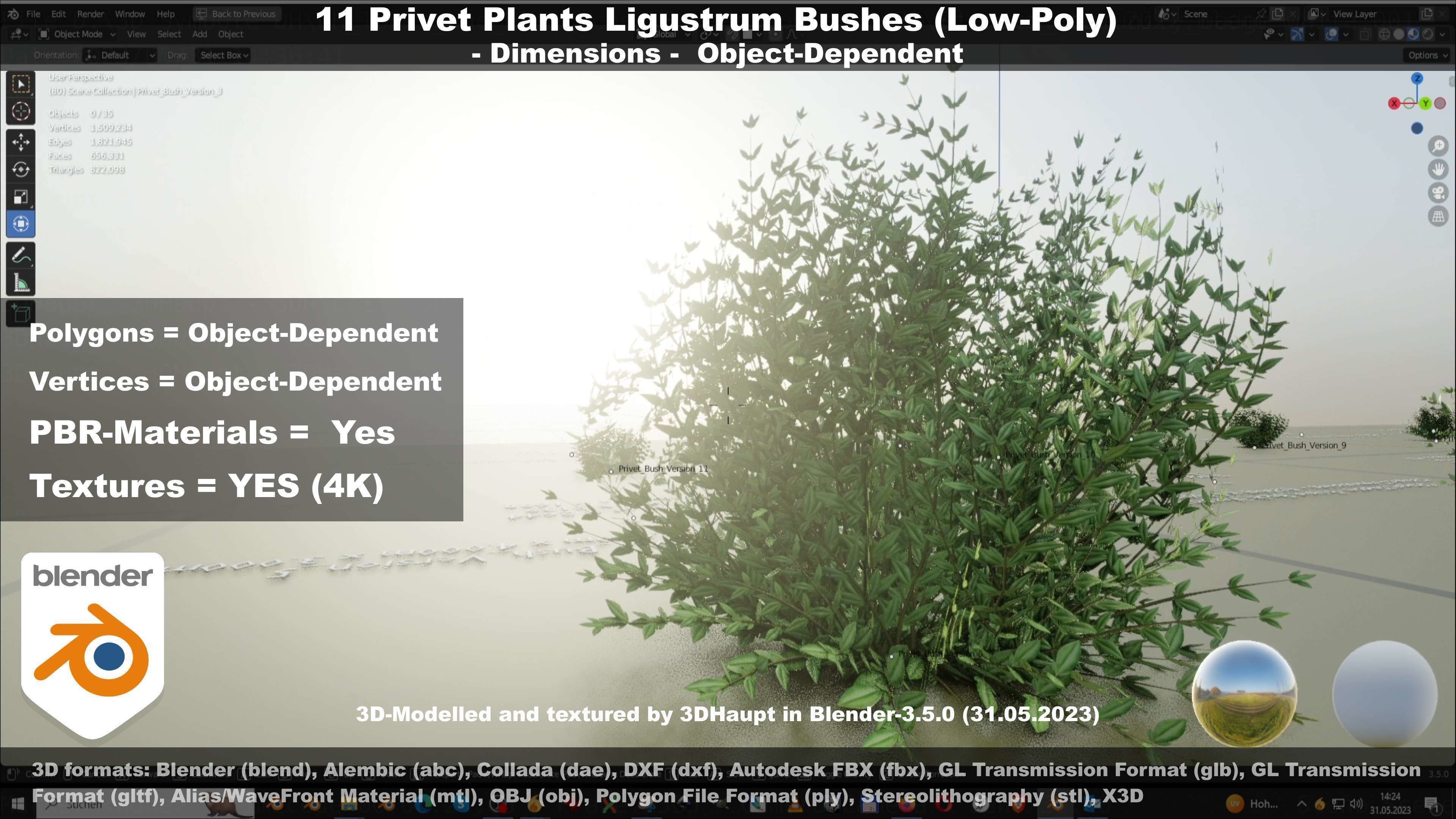 11 Privet Plants Ligustrum Low-poly 3D model_55