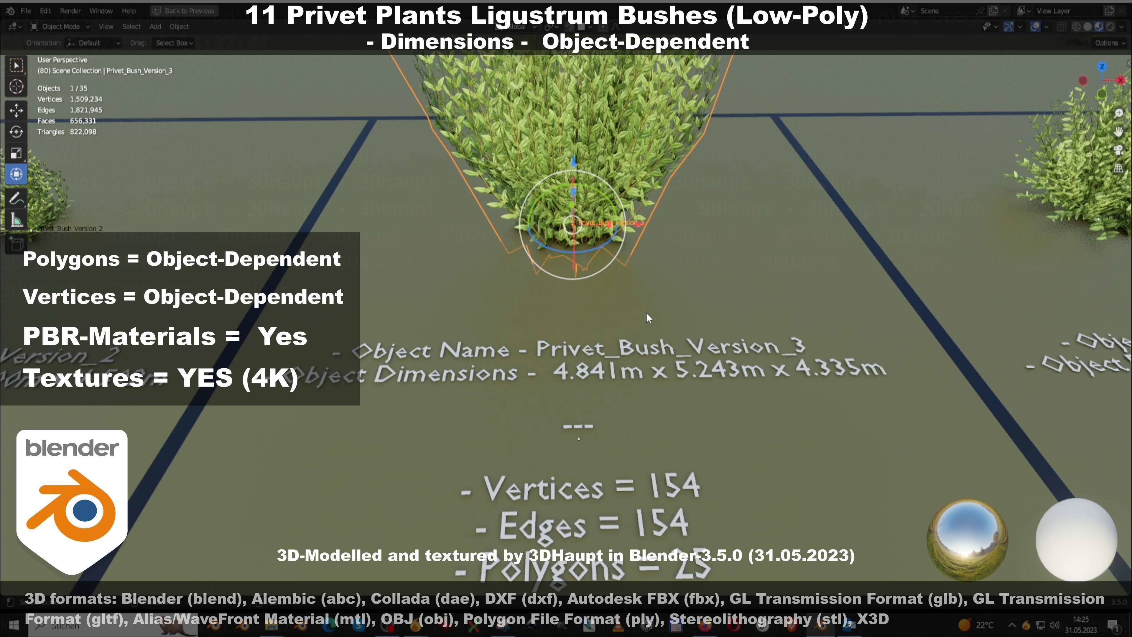 11 Privet Plants Ligustrum Low-poly 3D model_35