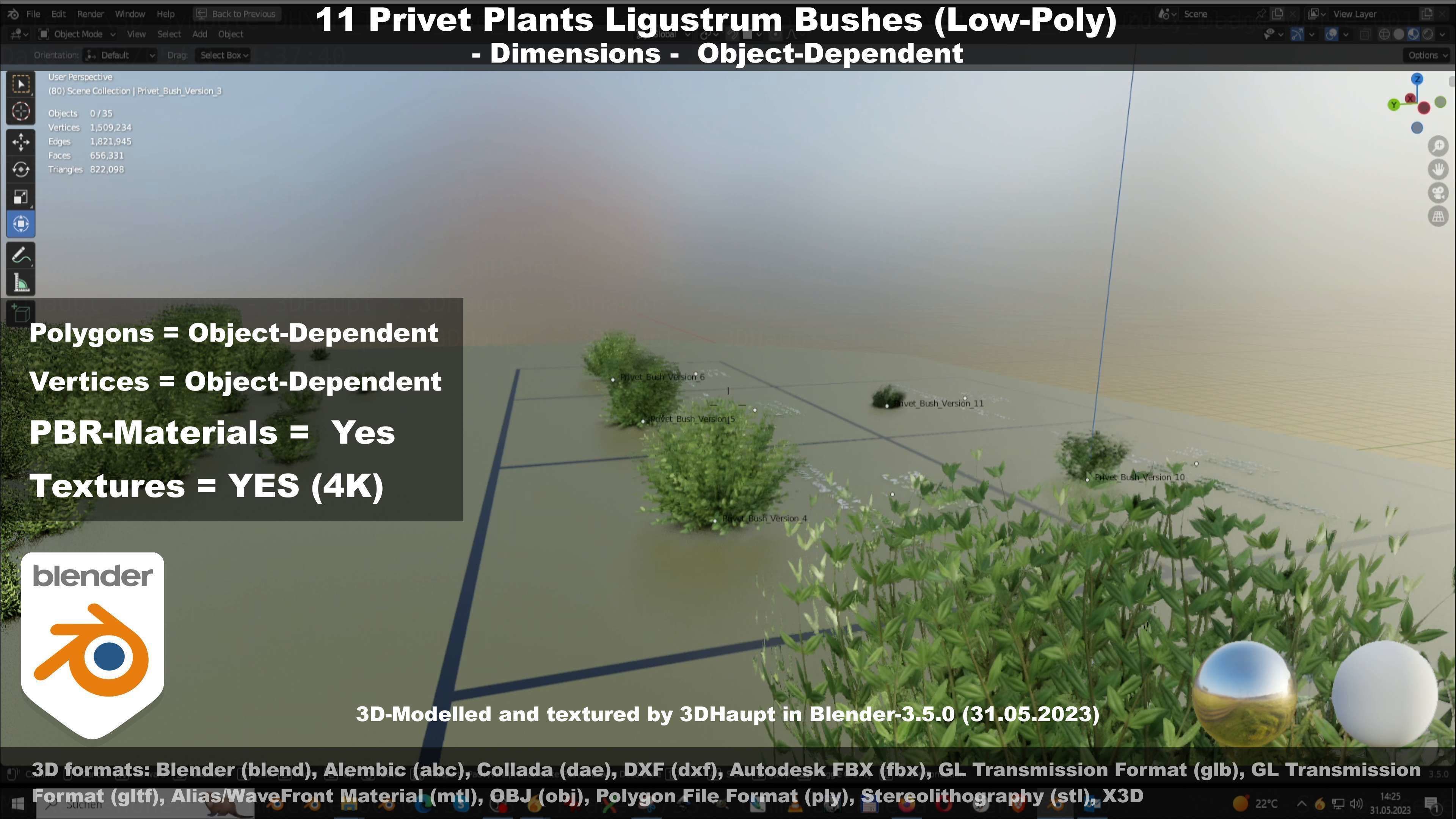 11 Privet Plants Ligustrum Low-poly 3D model_105
