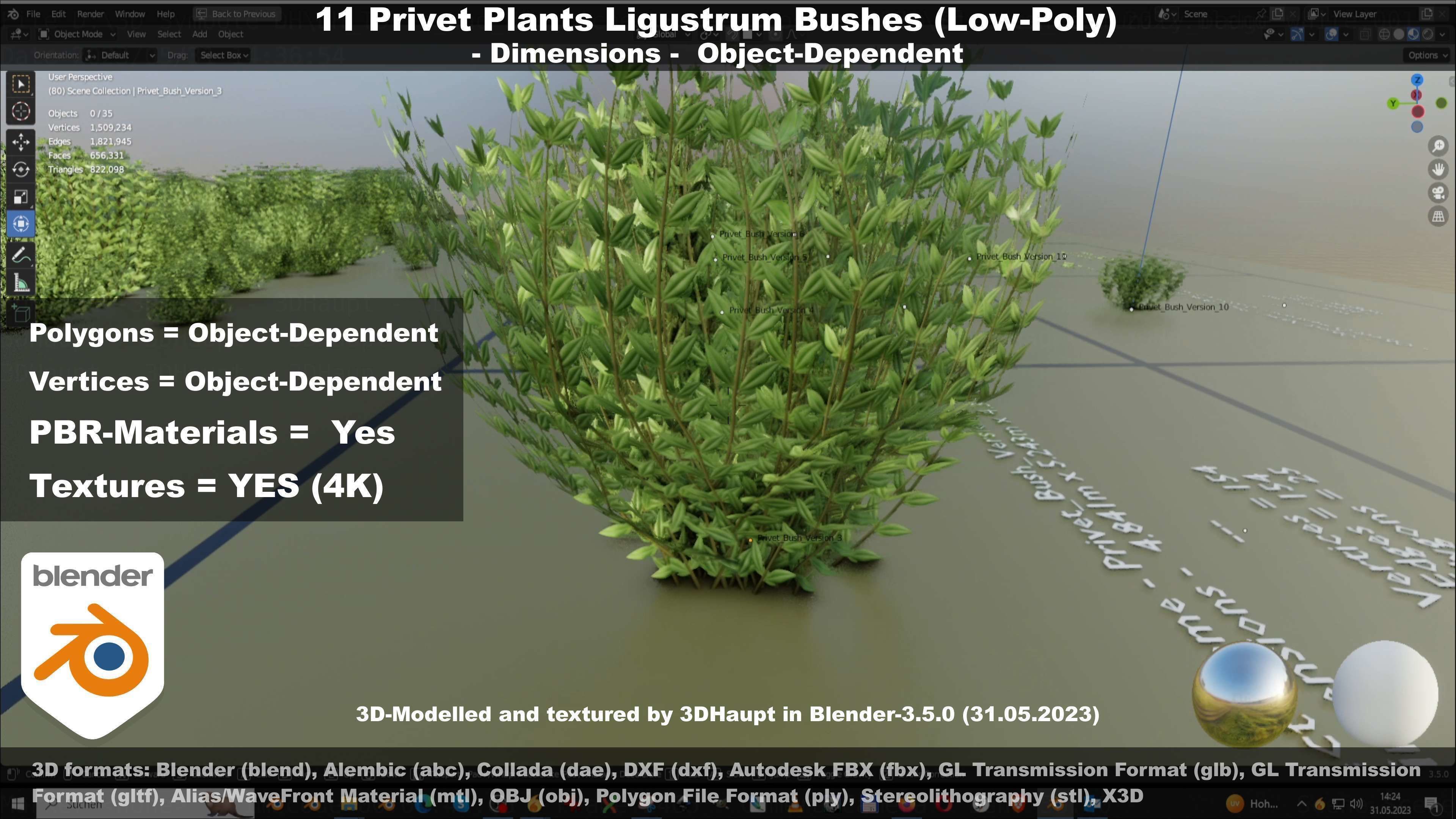 11 Privet Plants Ligustrum Low-poly 3D model_50