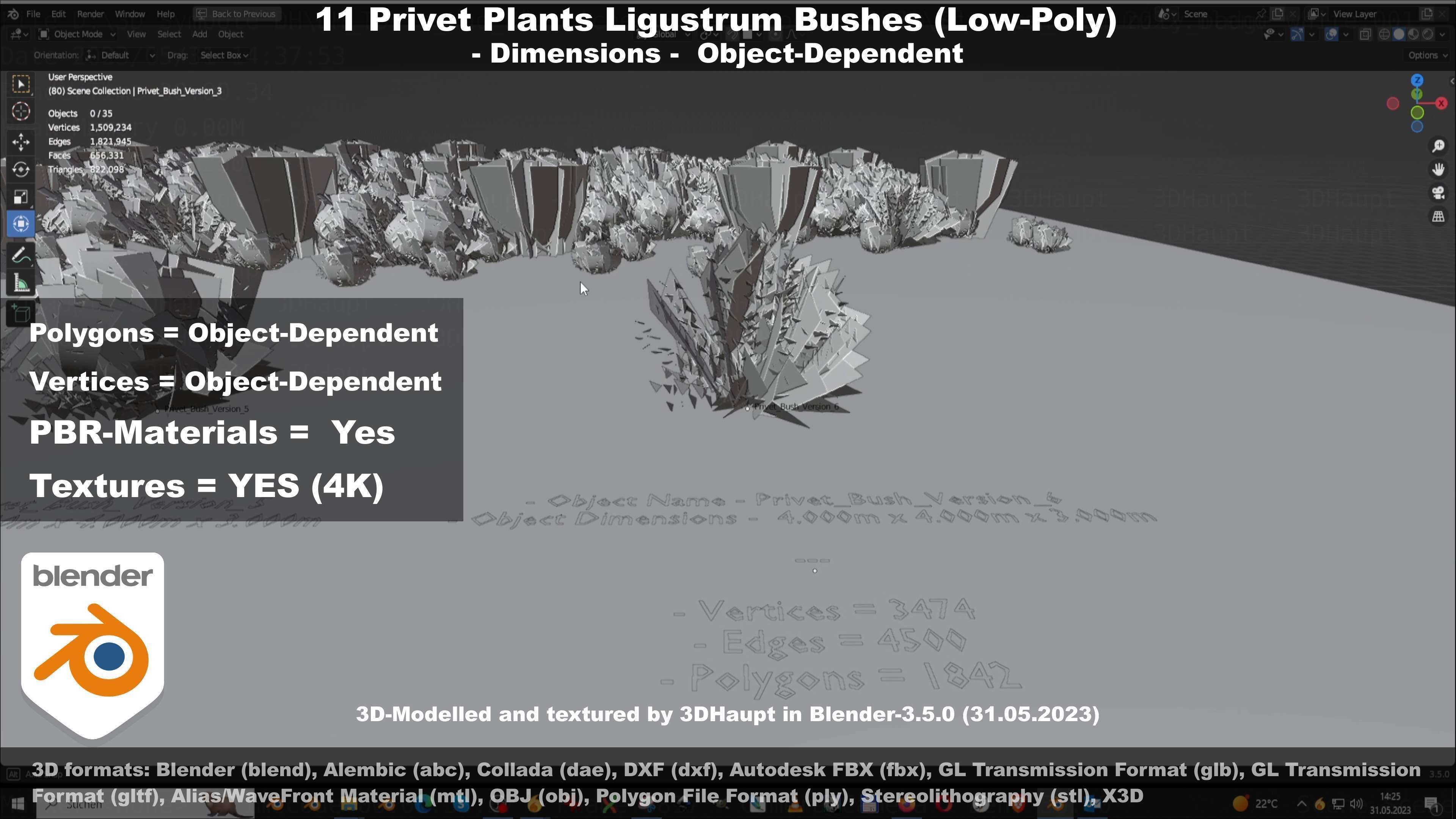 11 Privet Plants Ligustrum Low-poly 3D model_86