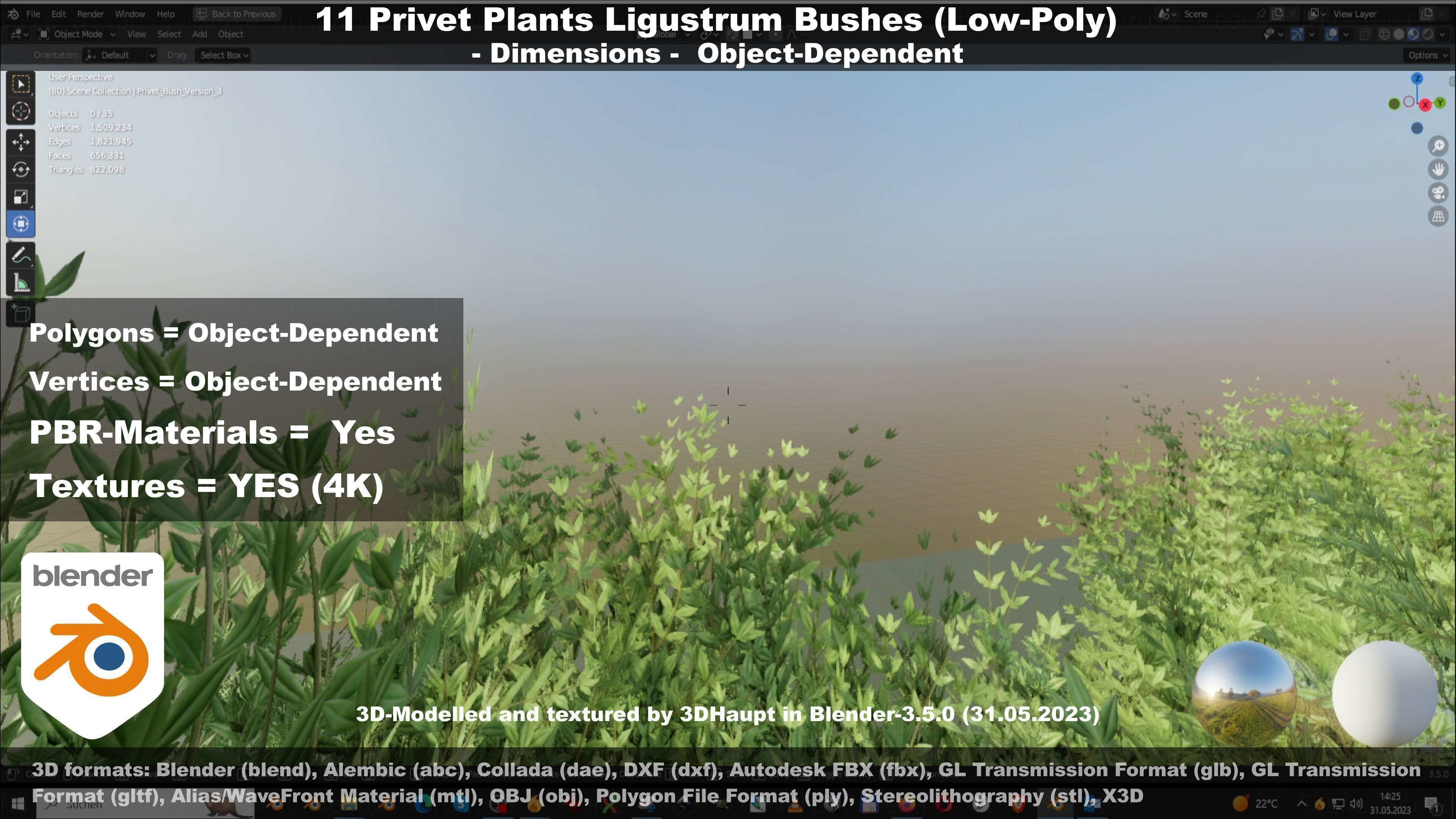11 Privet Plants Ligustrum Low-poly 3D model_117