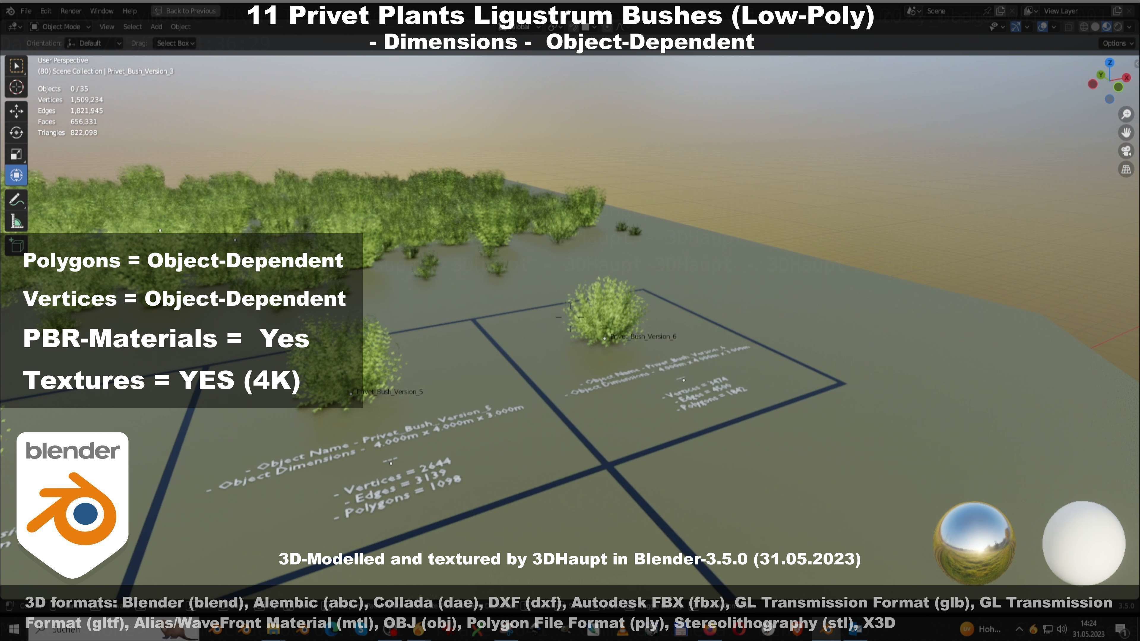 11 Privet Plants Ligustrum Low-poly 3D model_32