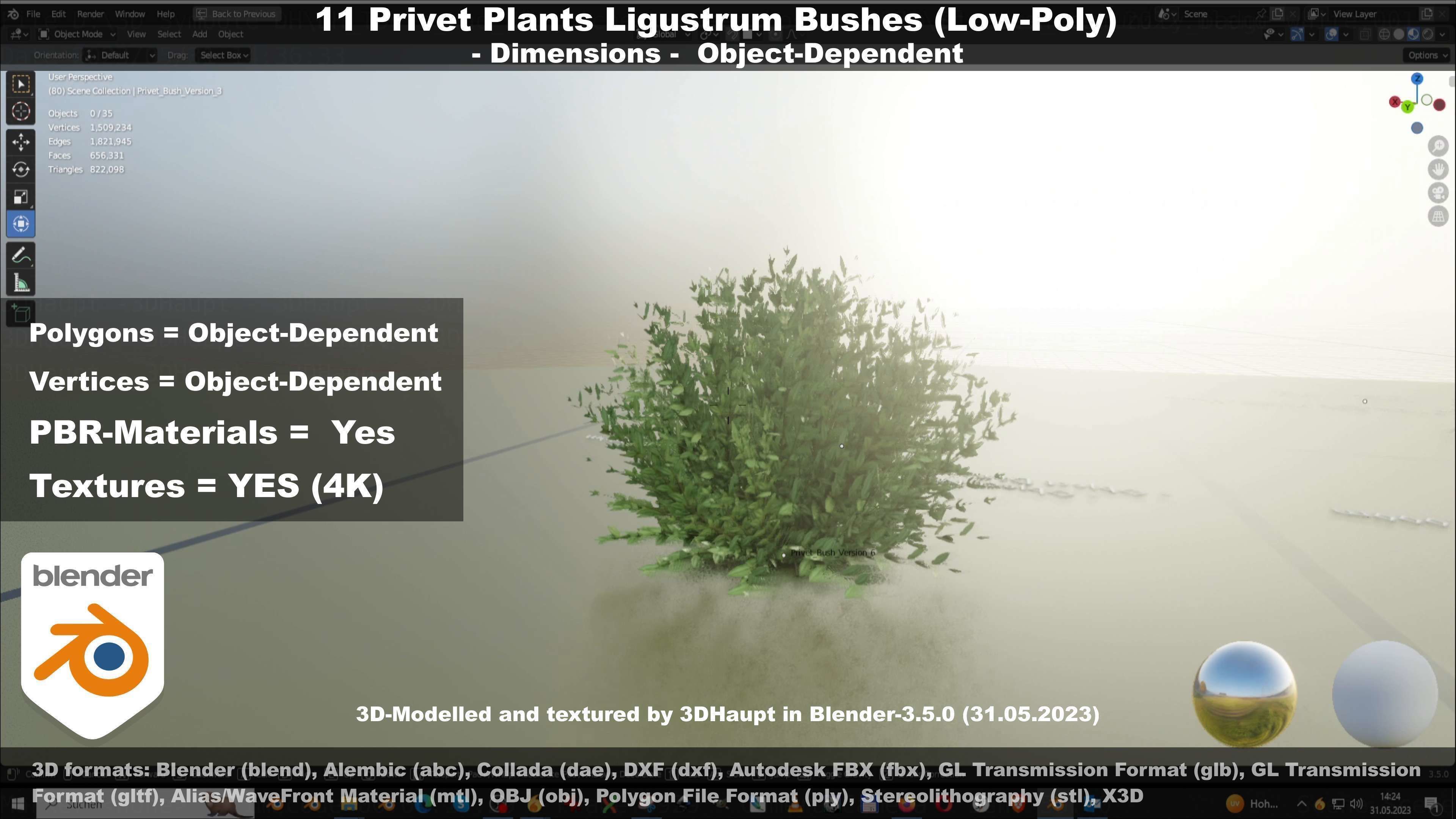 11 Privet Plants Ligustrum Low-poly 3D model_34