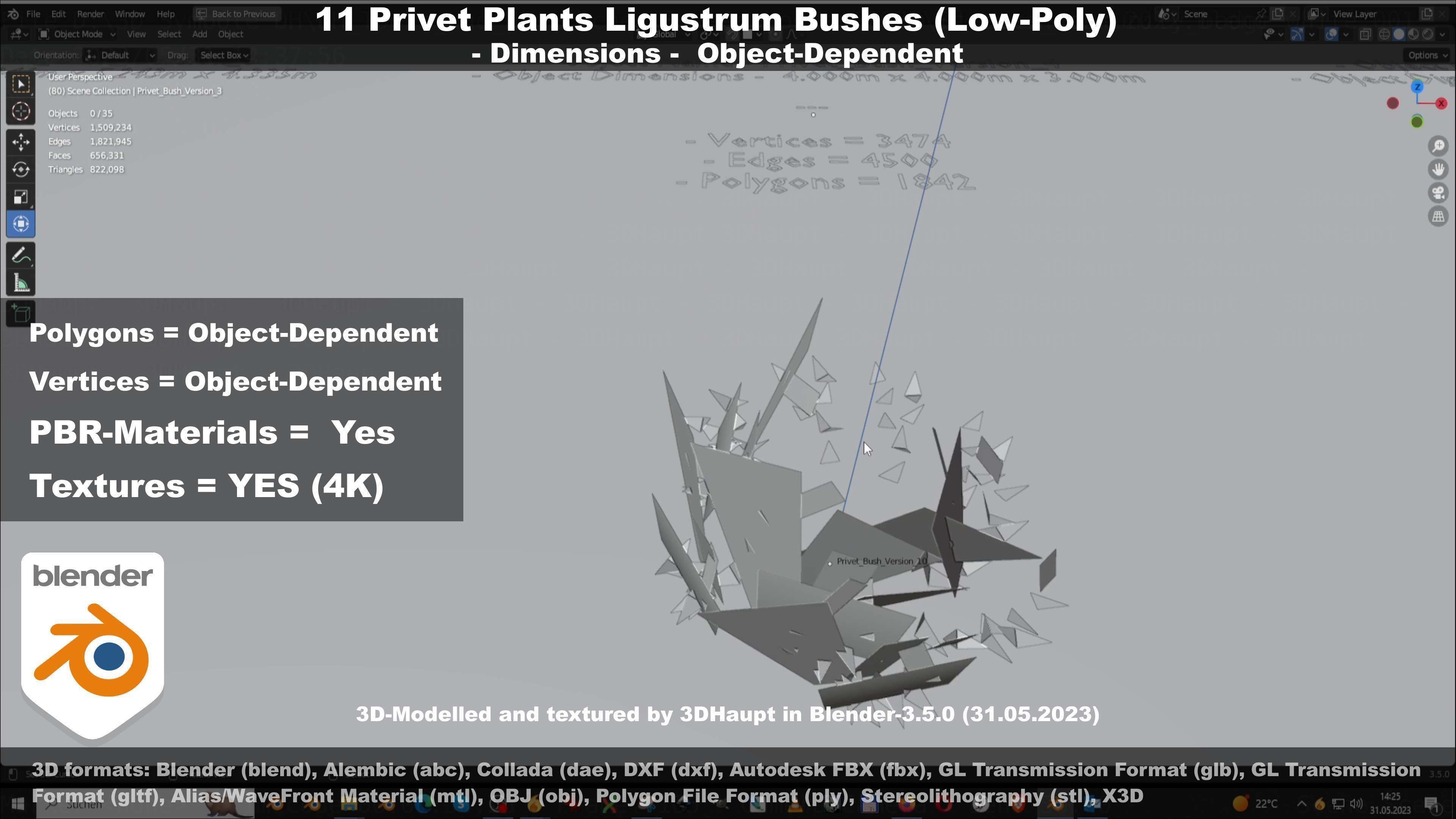 11 Privet Plants Ligustrum Low-poly 3D model_81