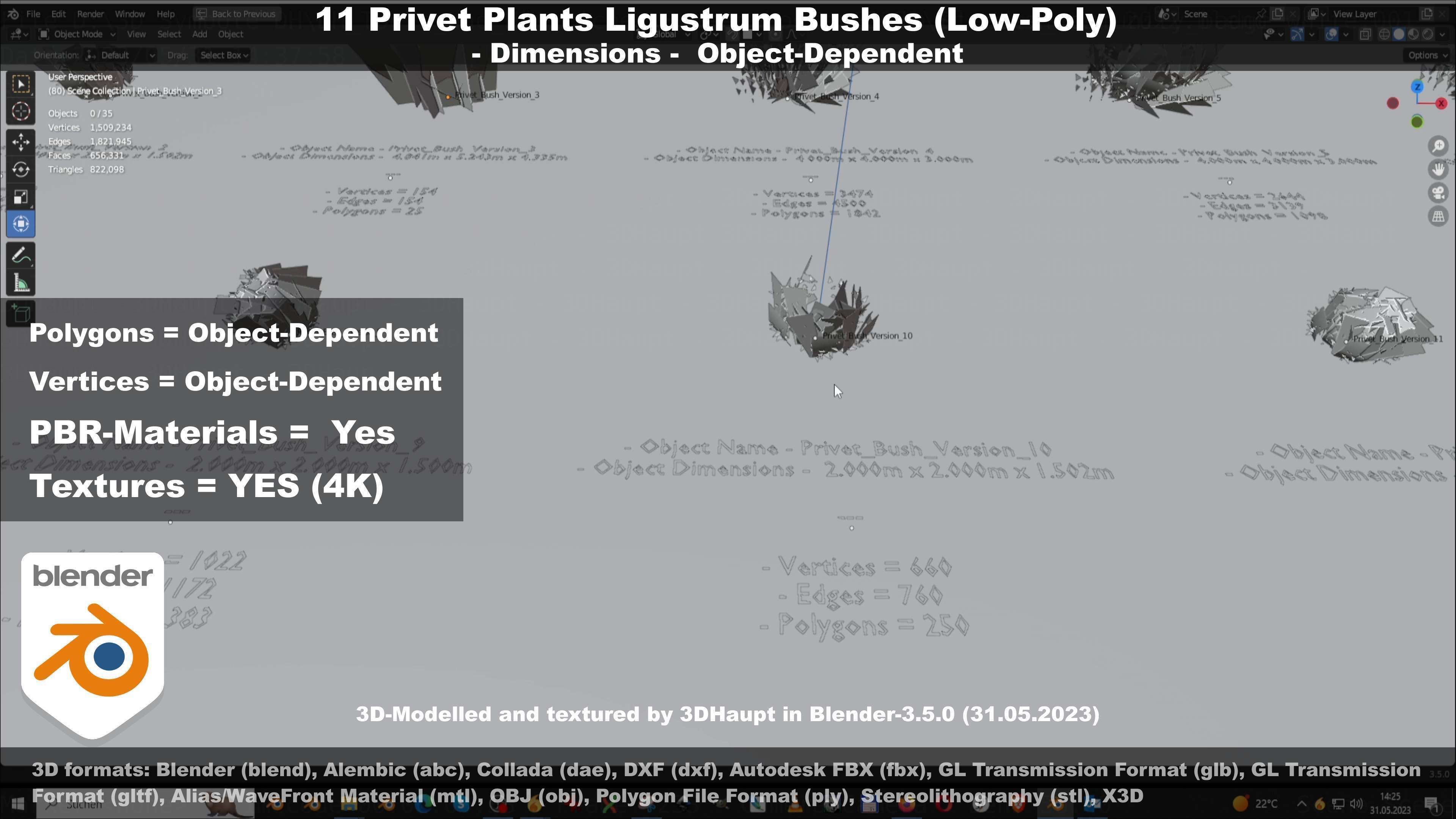 11 Privet Plants Ligustrum Low-poly 3D model_76