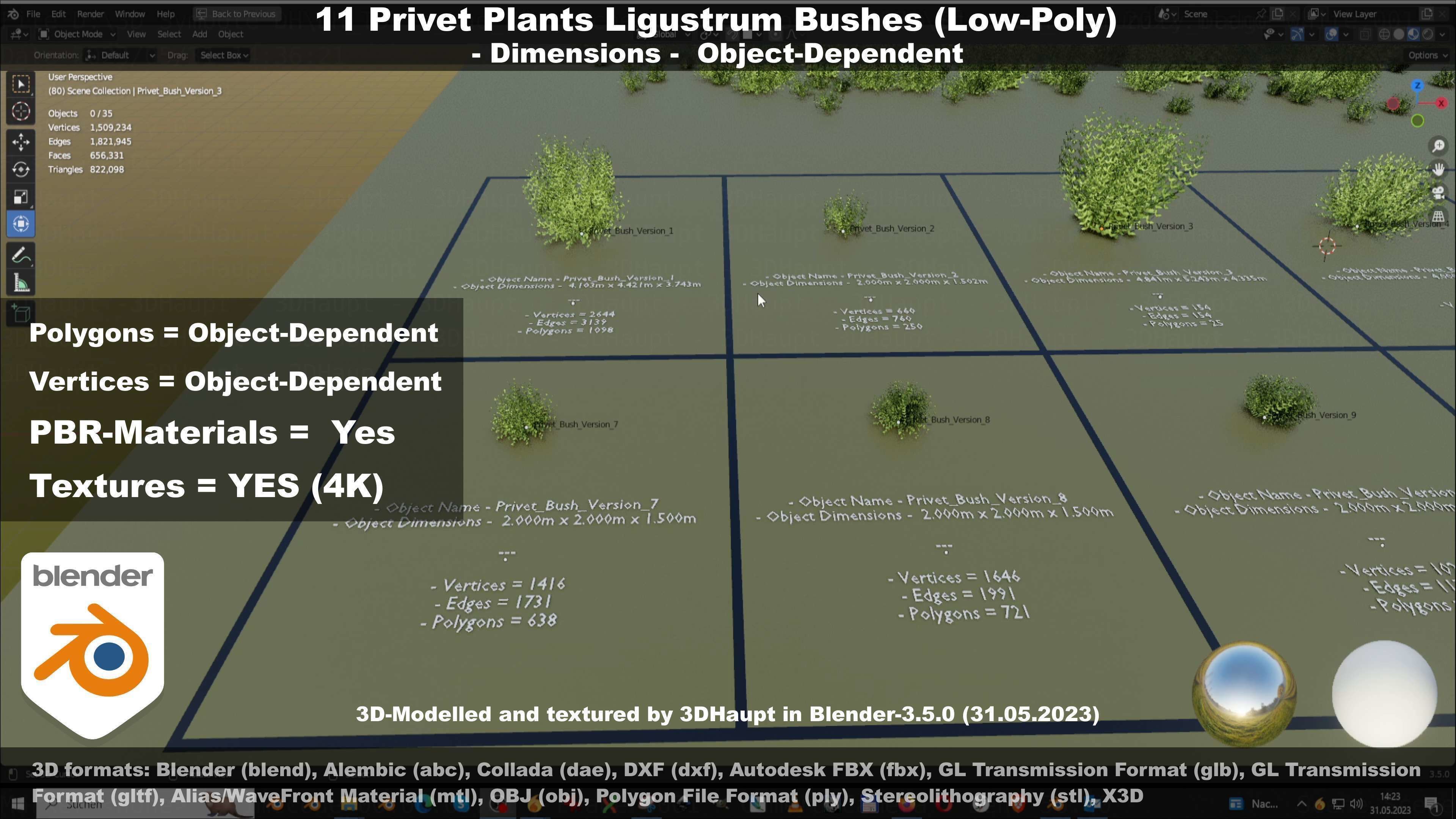 11 Privet Plants Ligustrum Low-poly 3D model_51