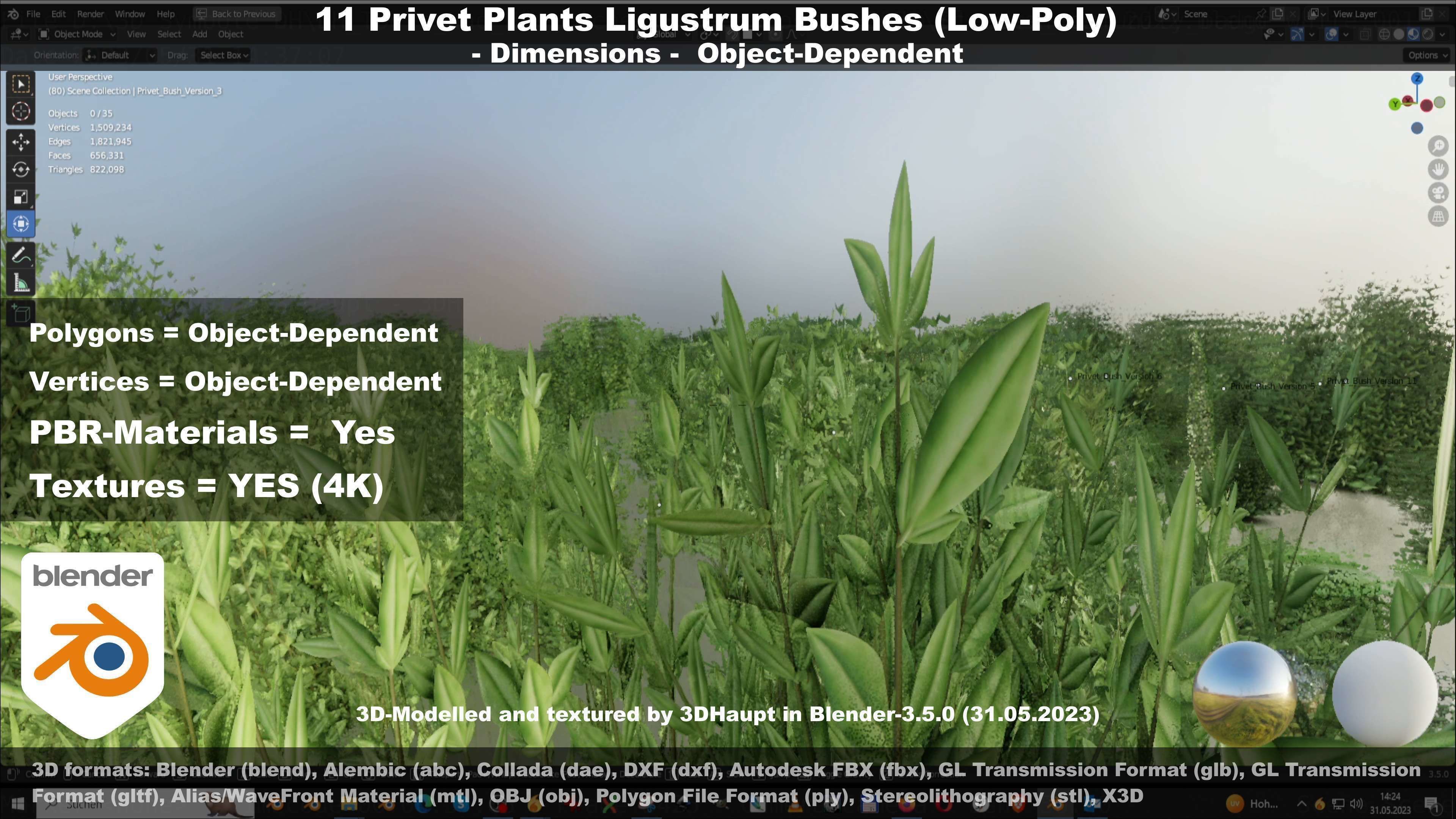 11 Privet Plants Ligustrum Low-poly 3D model_125