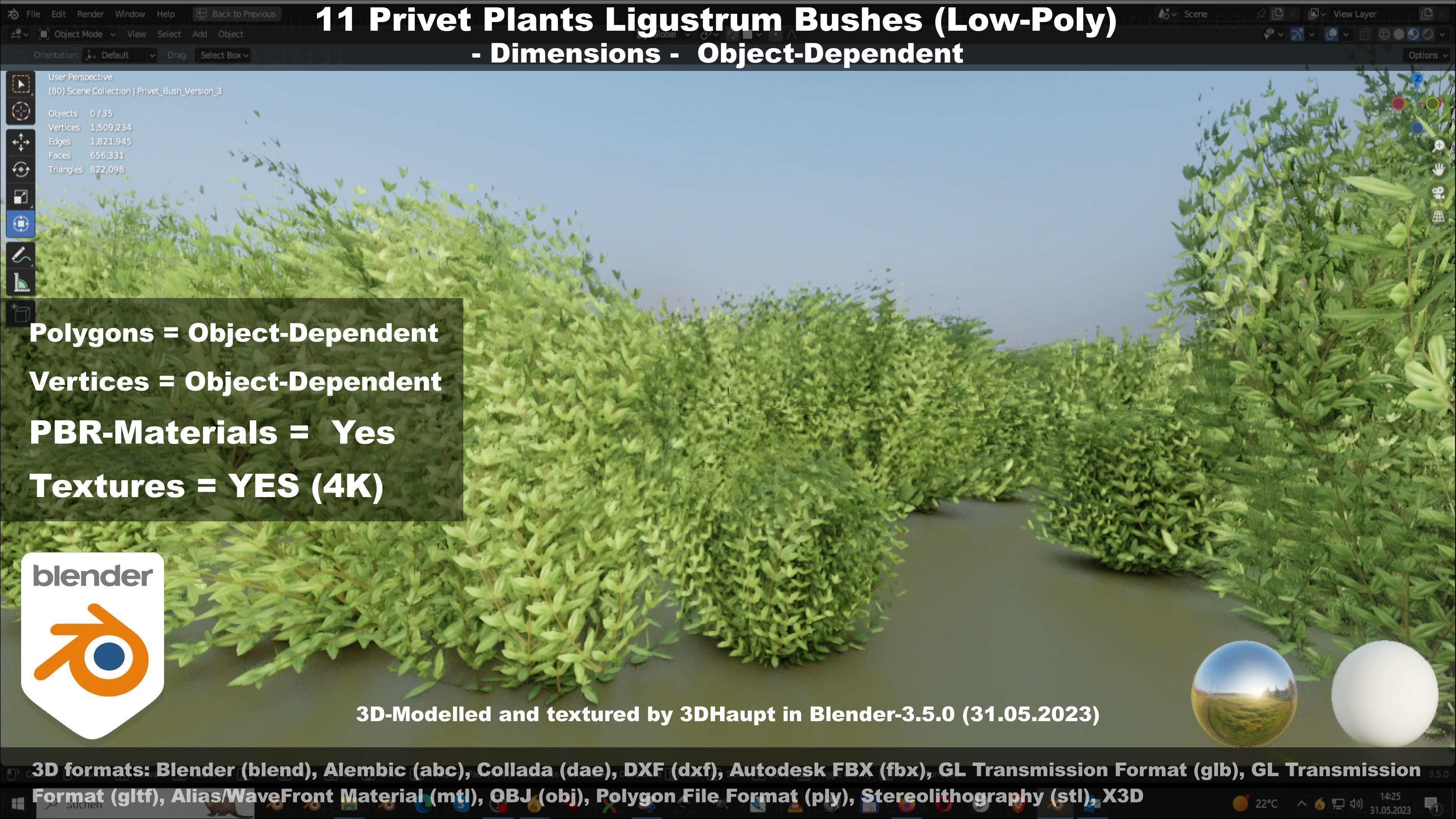 11 Privet Plants Ligustrum Low-poly 3D model_127