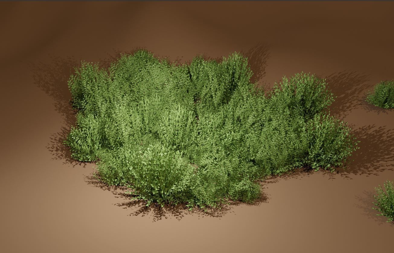 11 Privet Plants Ligustrum Low-poly 3D model_5