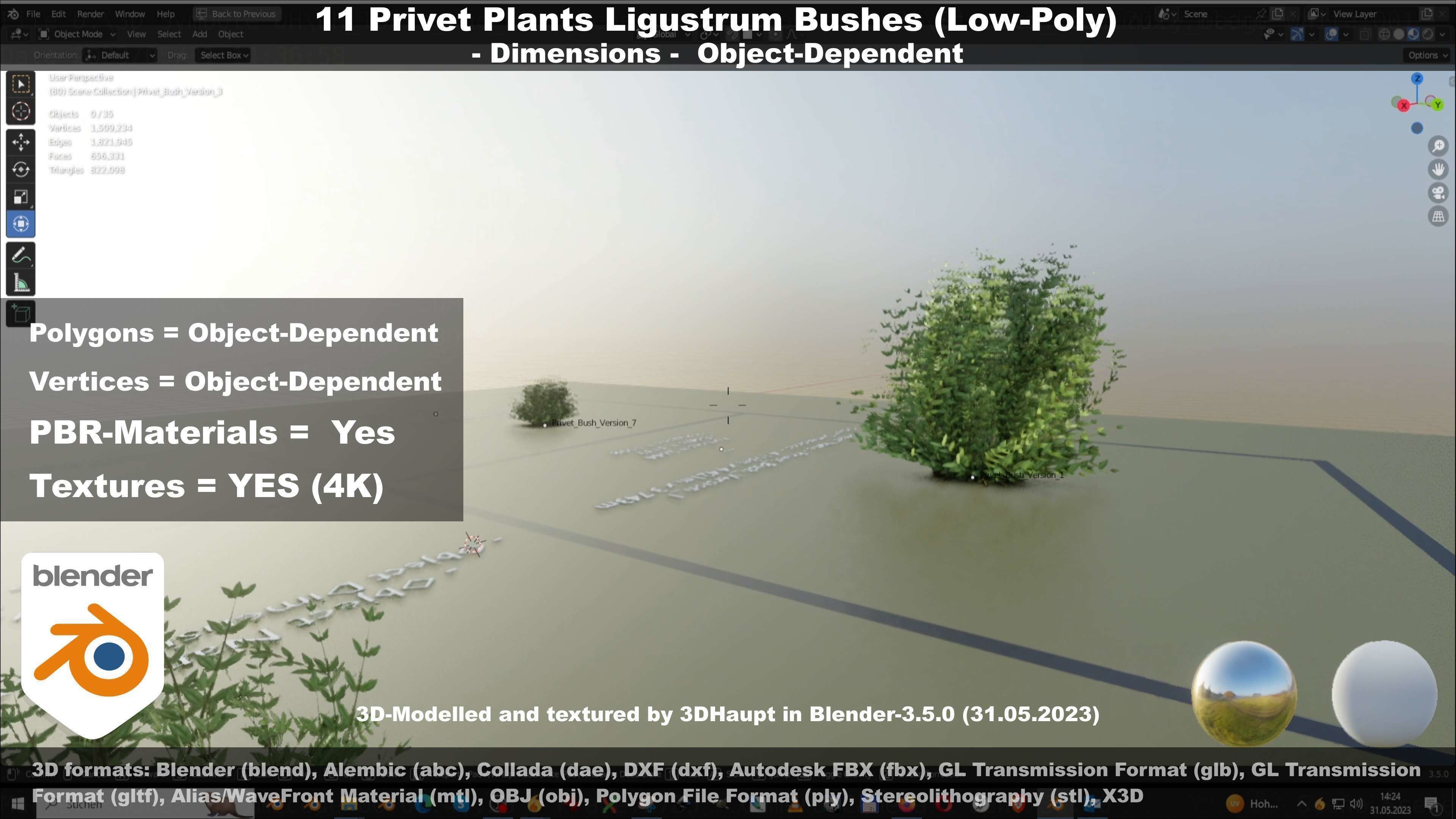 11 Privet Plants Ligustrum Low-poly 3D model_90