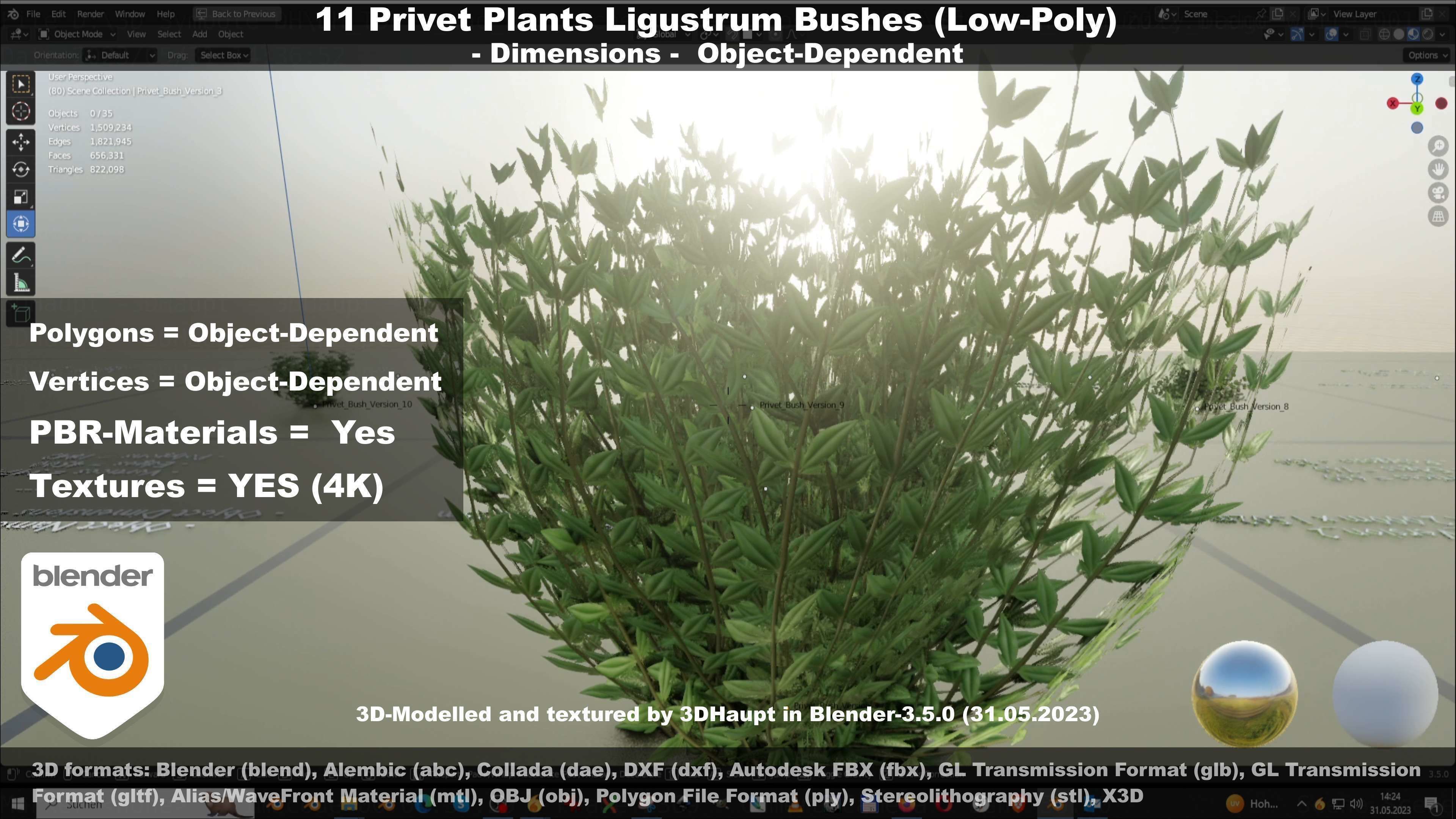 11 Privet Plants Ligustrum Low-poly 3D model_46