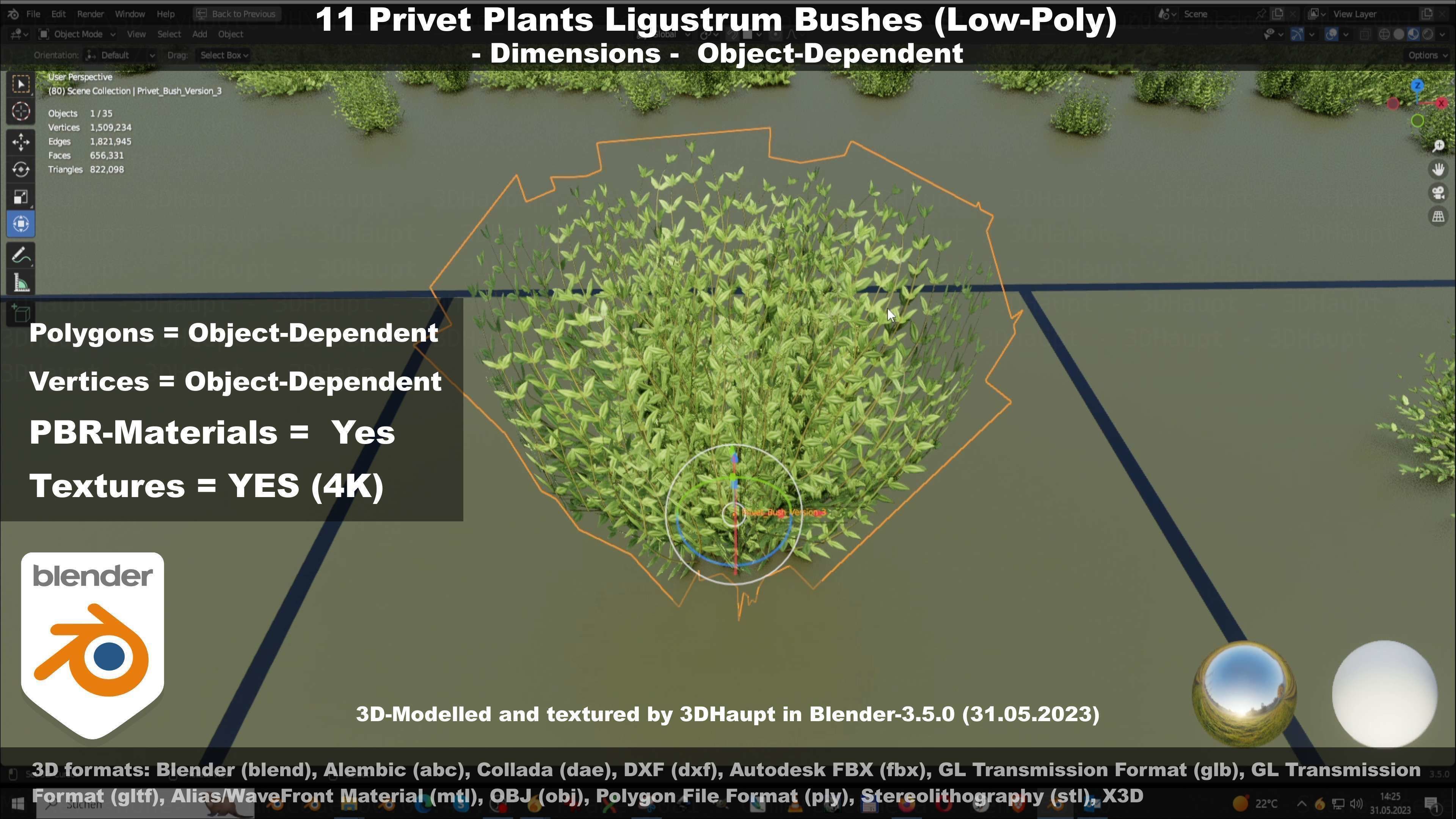 11 Privet Plants Ligustrum Low-poly 3D model_121