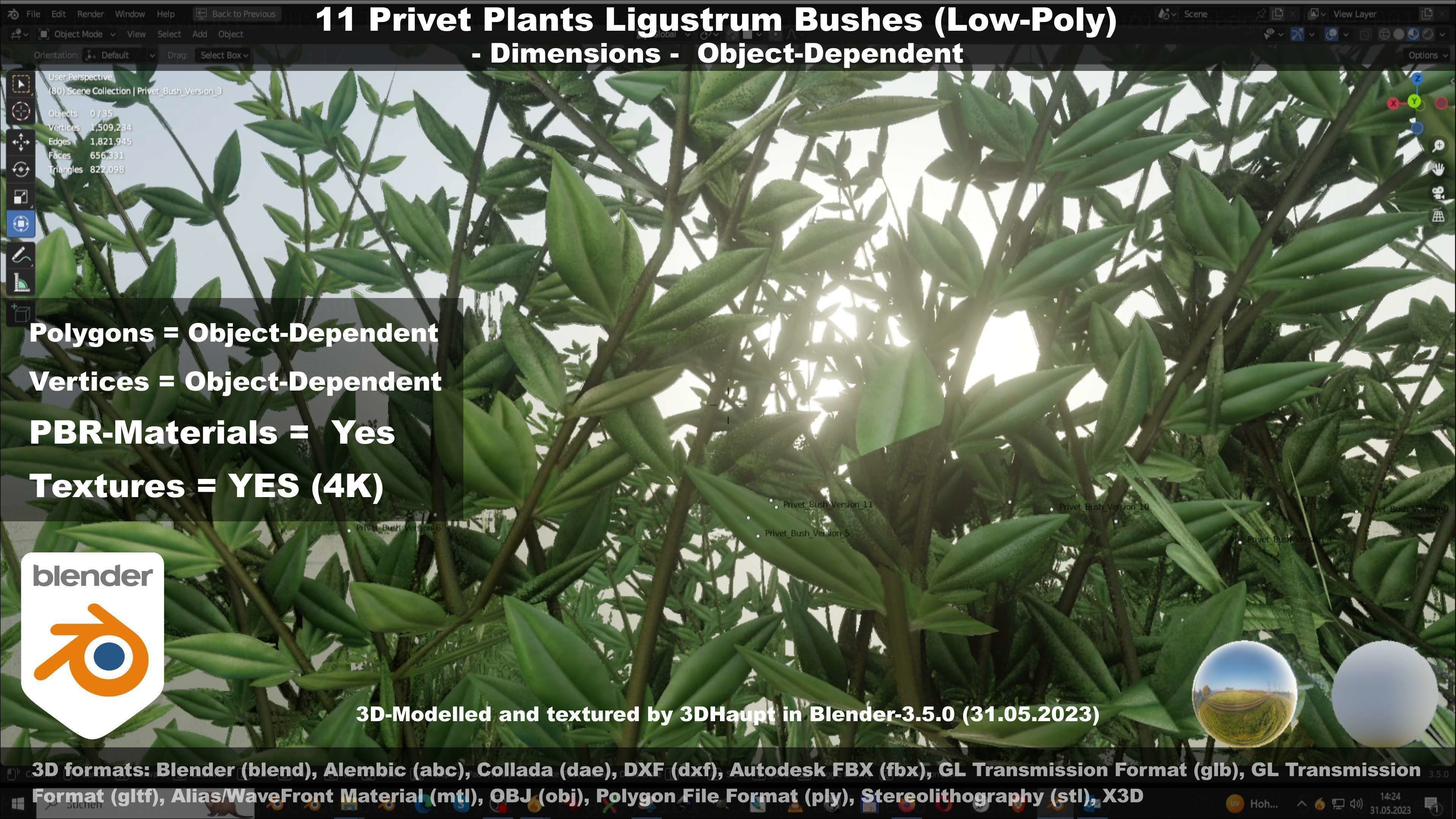 11 Privet Plants Ligustrum Low-poly 3D model_60