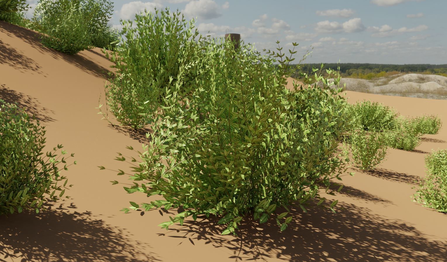 11 Privet Plants Ligustrum Low-poly 3D model_6
