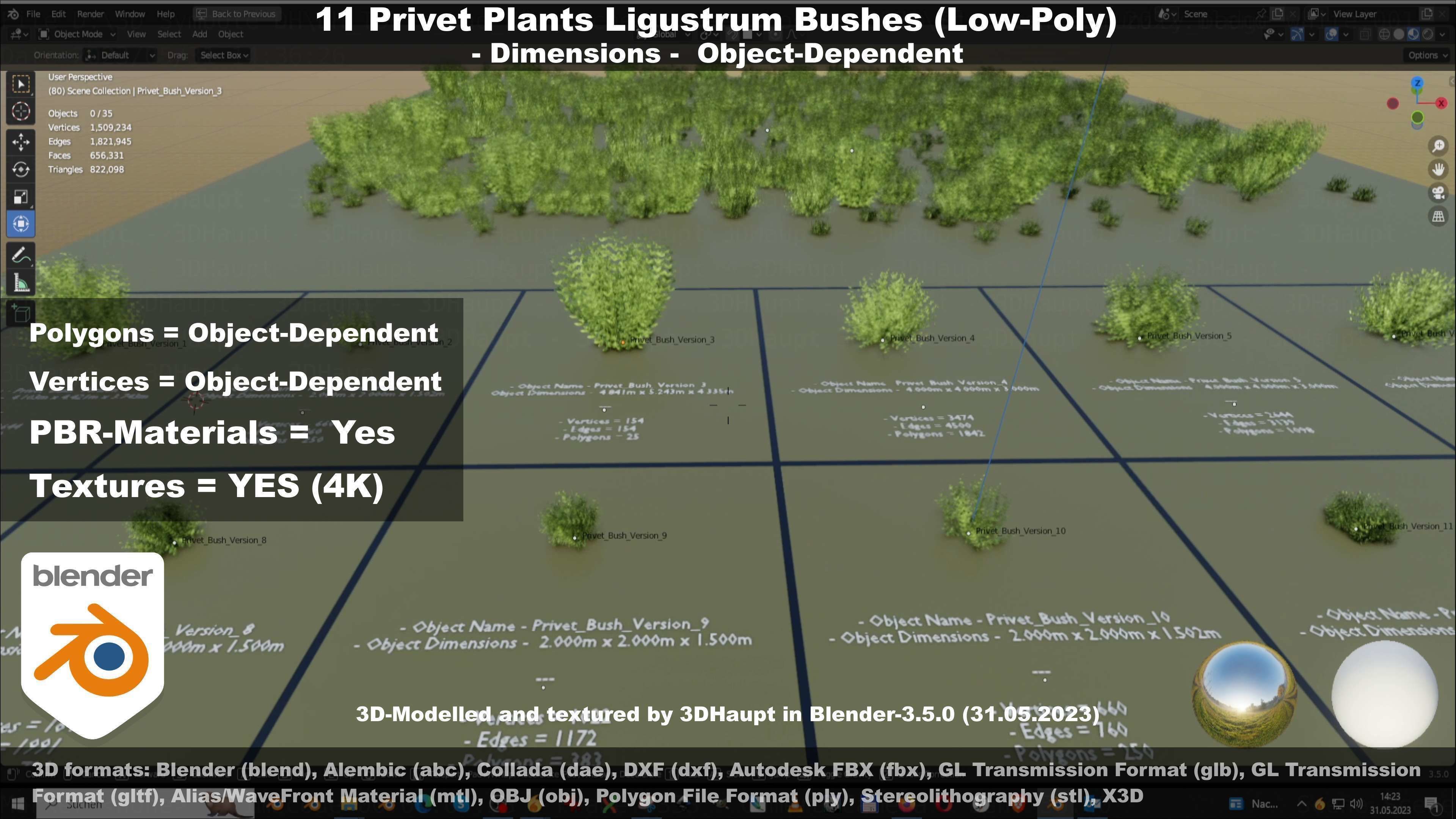 11 Privet Plants Ligustrum Low-poly 3D model_40