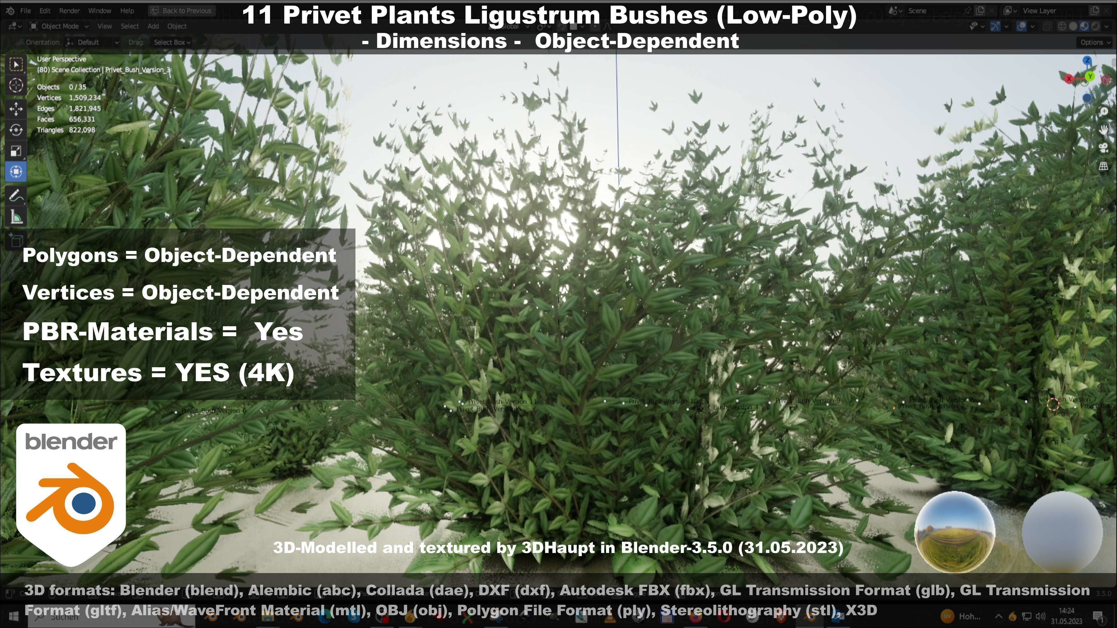 11 Privet Plants Ligustrum Low-poly 3D model_68
