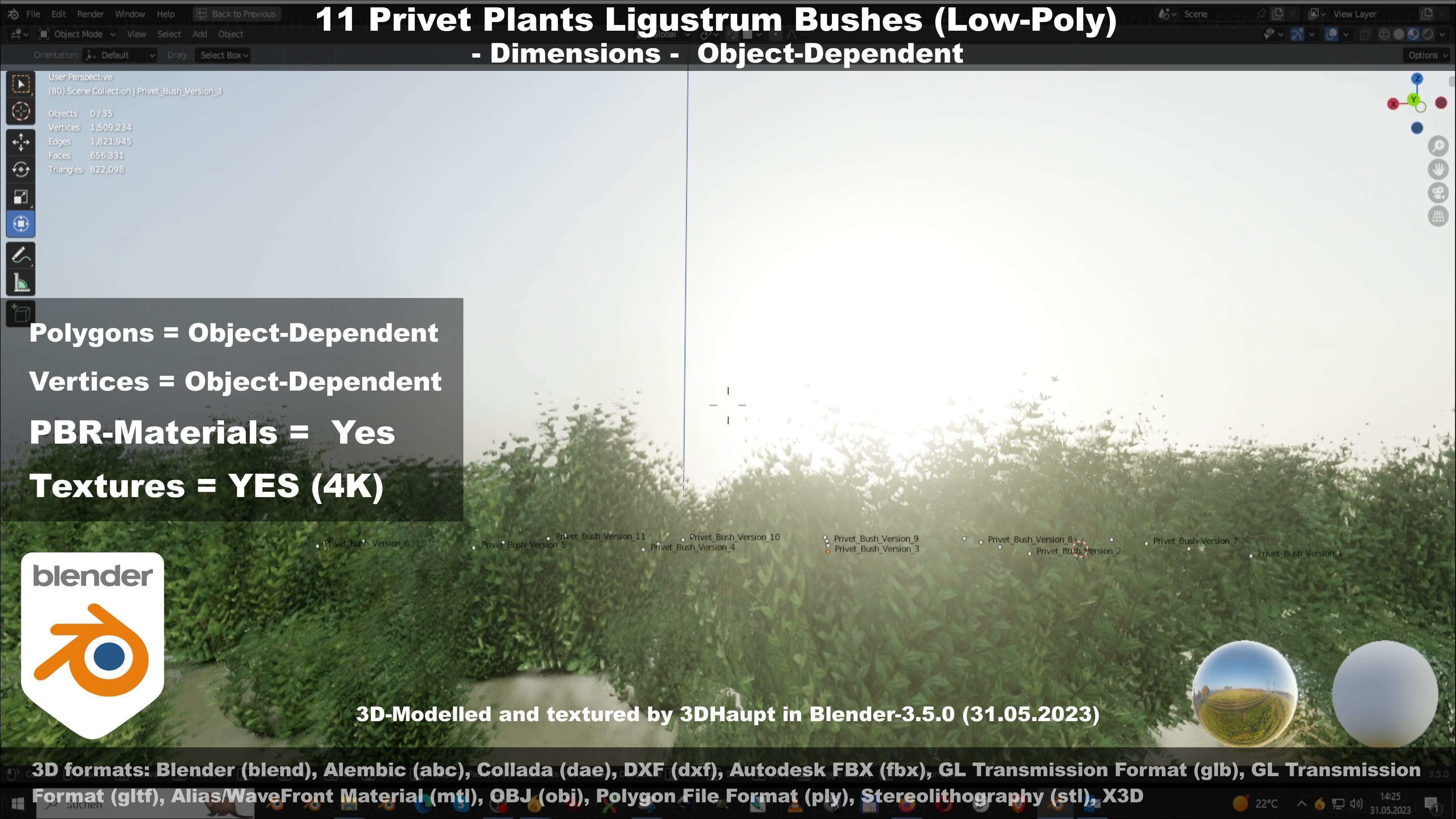 11 Privet Plants Ligustrum Low-poly 3D model_104