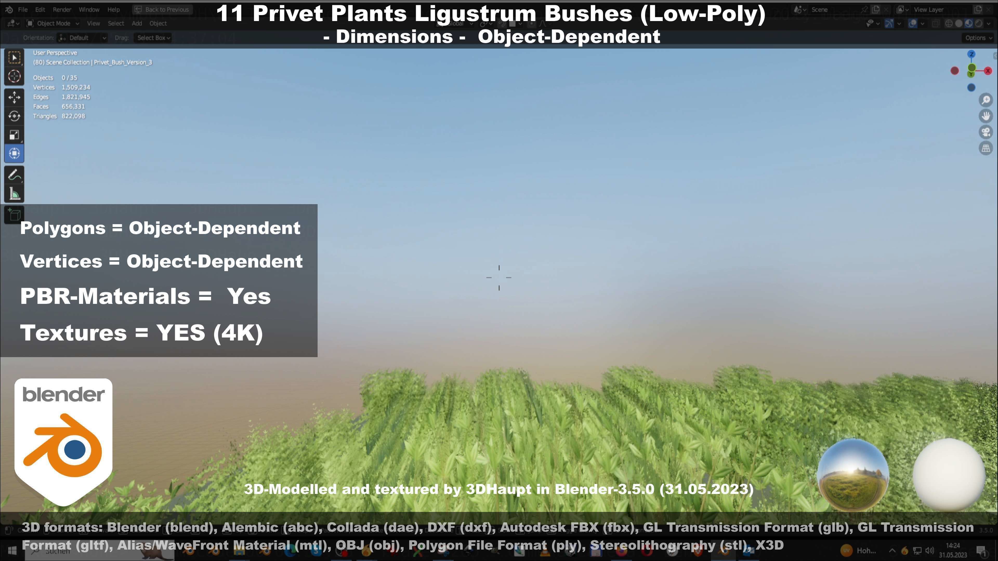 11 Privet Plants Ligustrum Low-poly 3D model_102