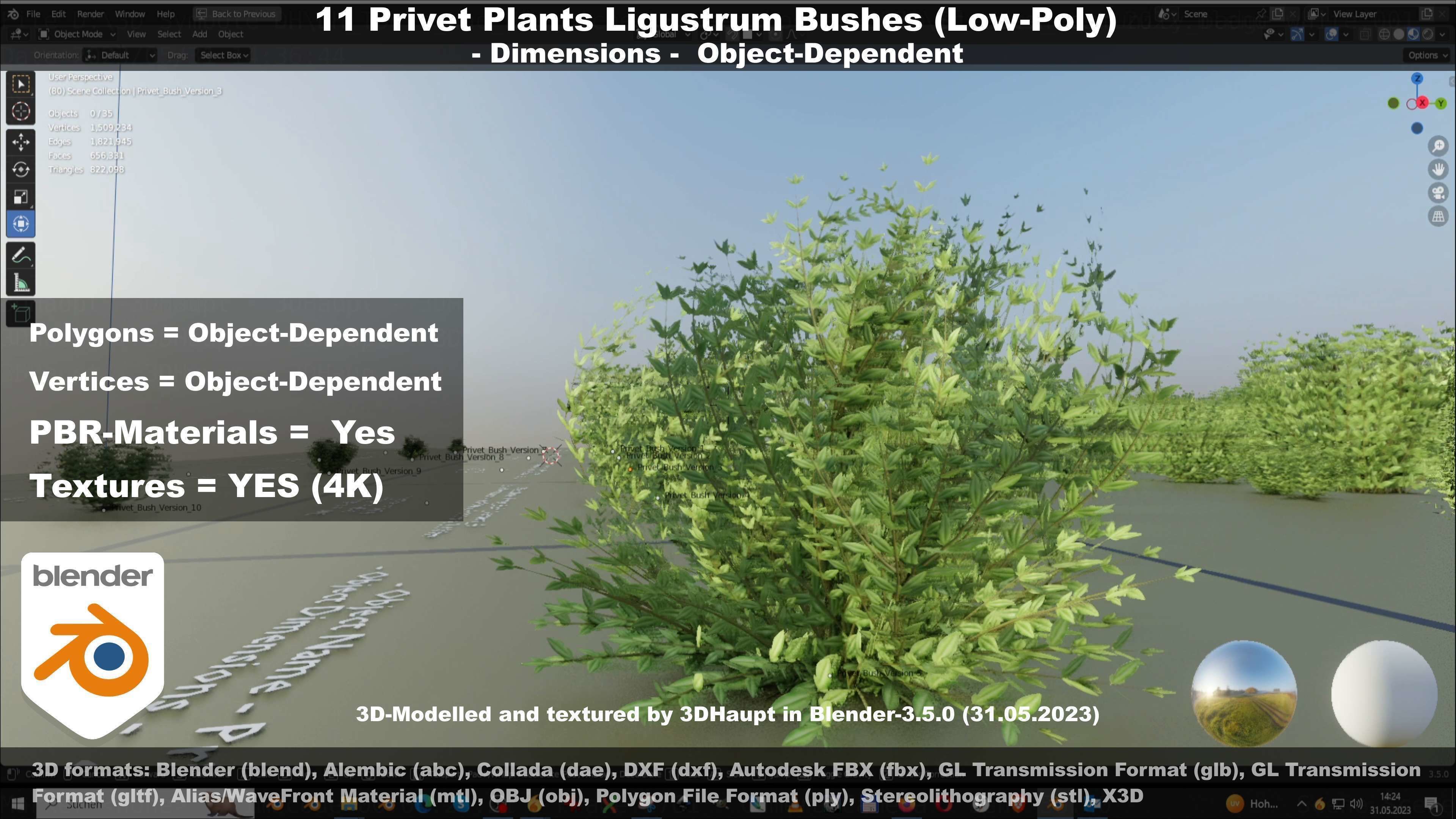 11 Privet Plants Ligustrum Low-poly 3D model_49