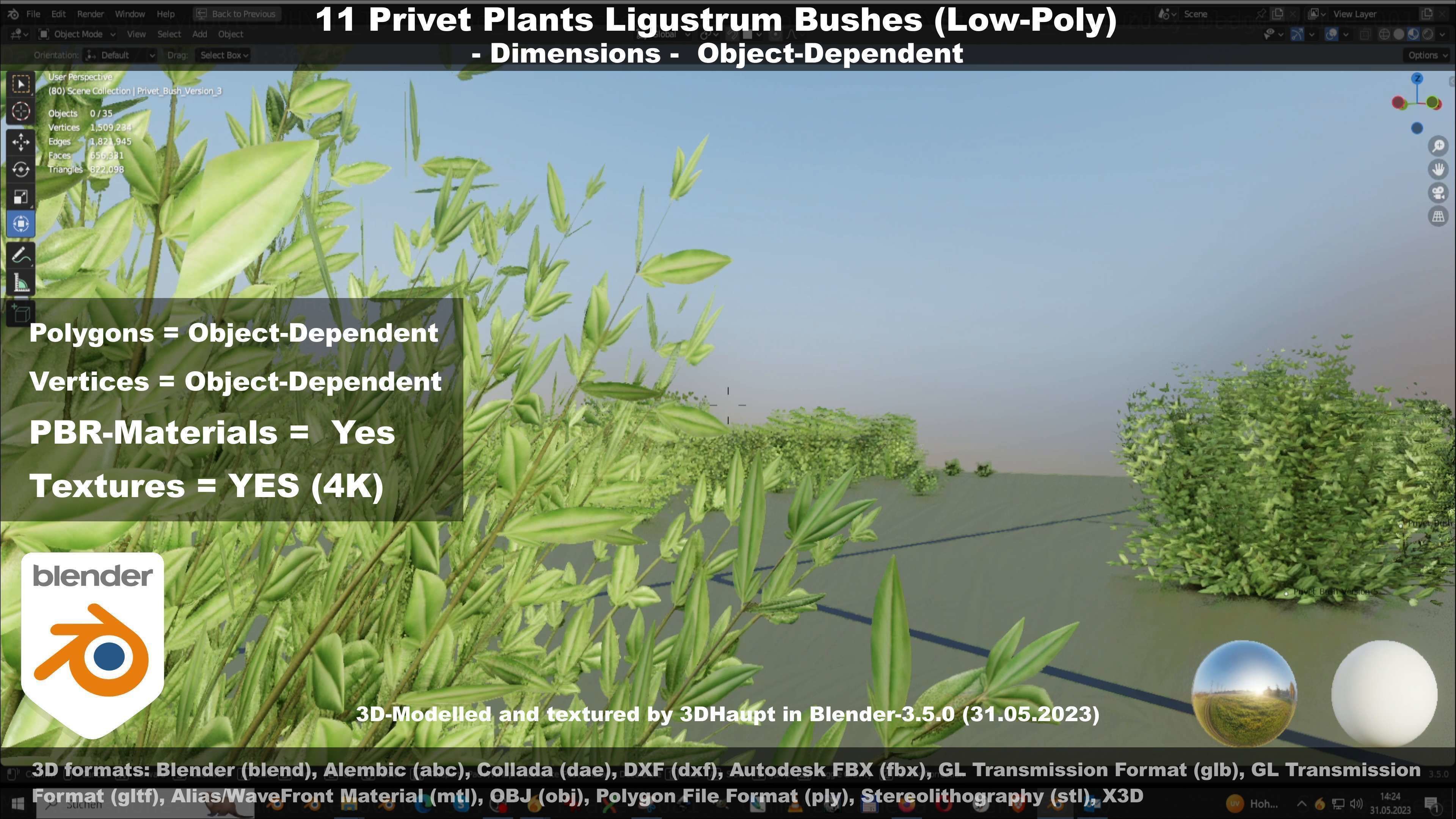 11 Privet Plants Ligustrum Low-poly 3D model_124