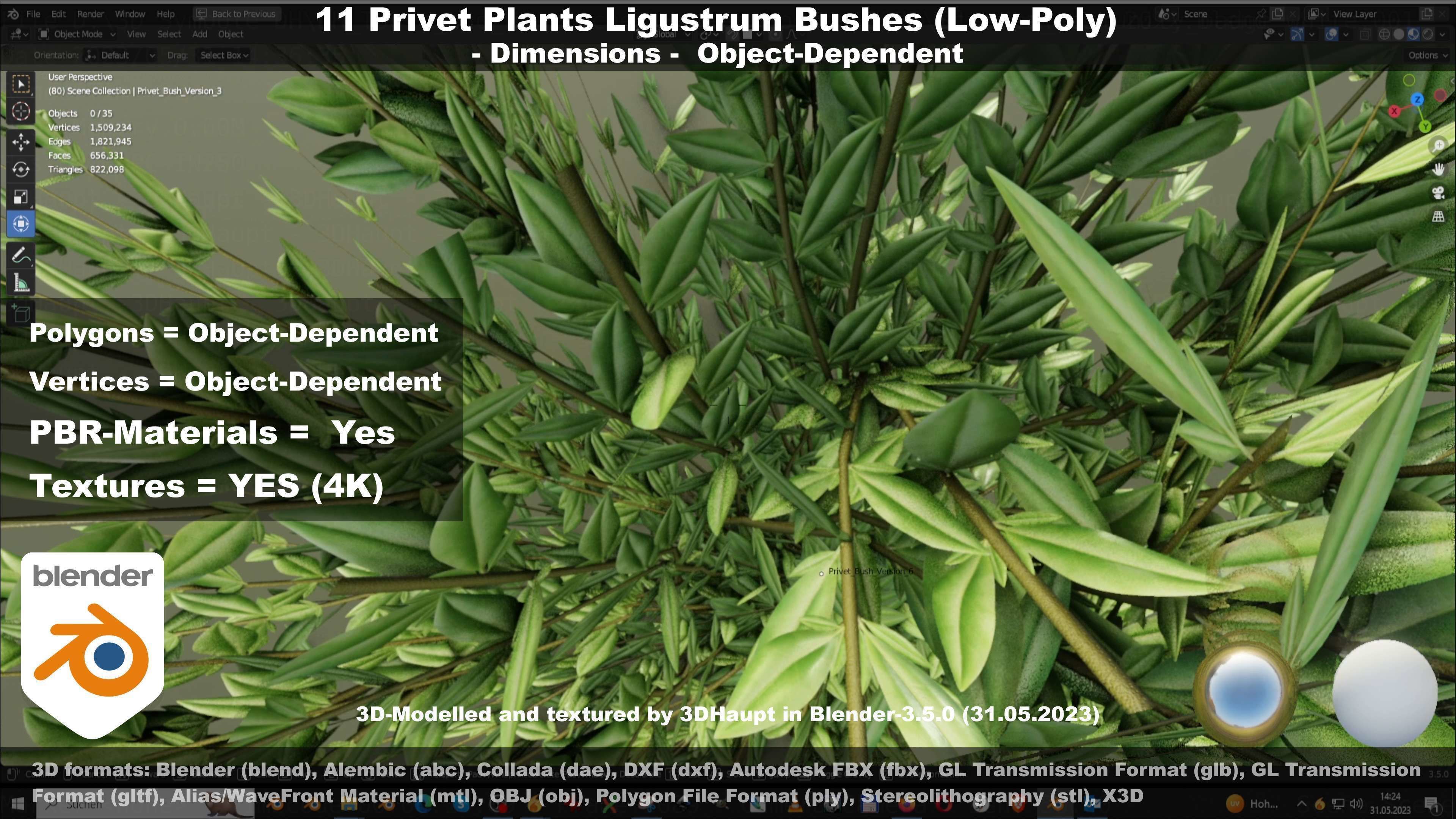11 Privet Plants Ligustrum Low-poly 3D model_62