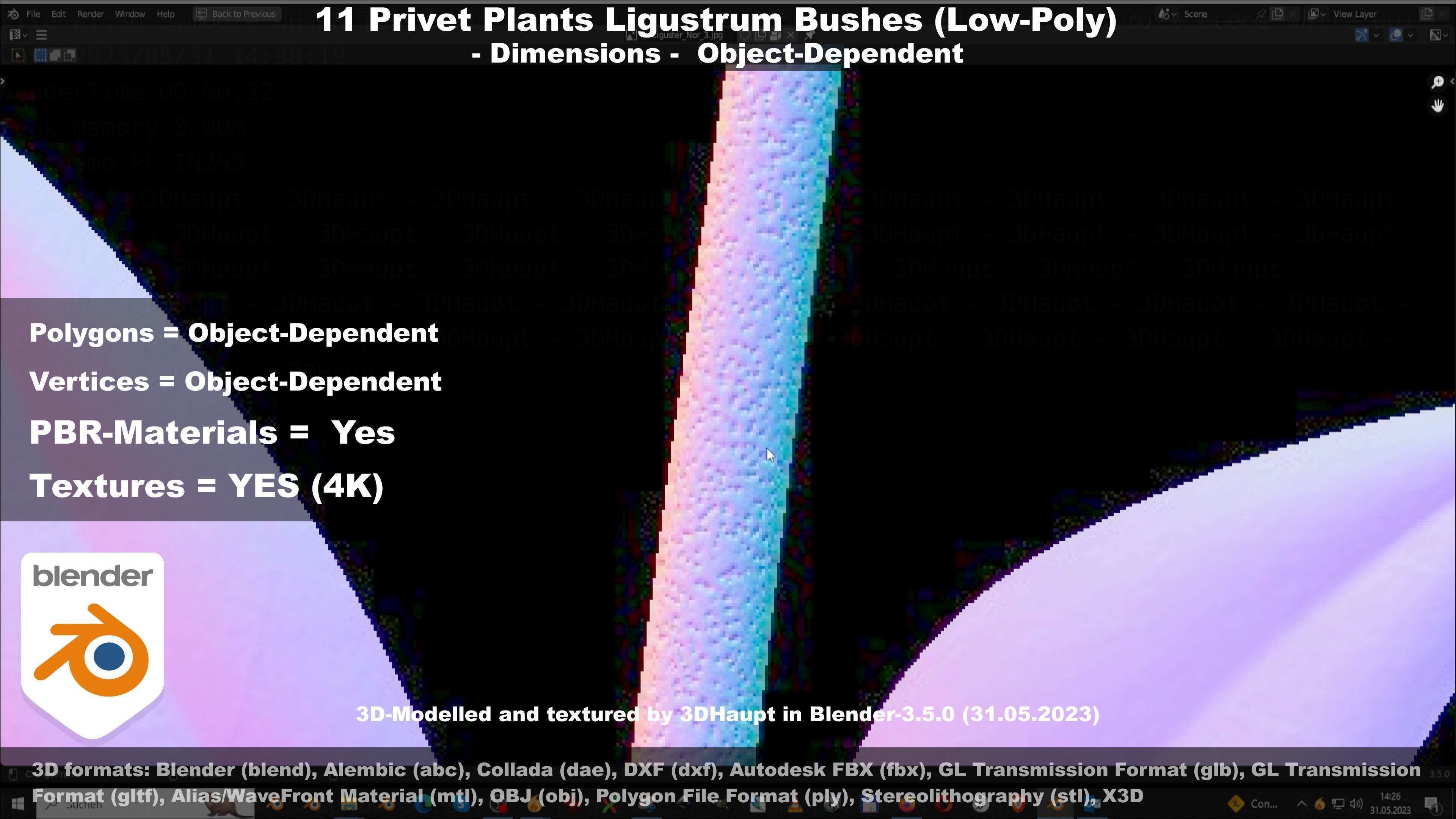 11 Privet Plants Ligustrum Low-poly 3D model_80