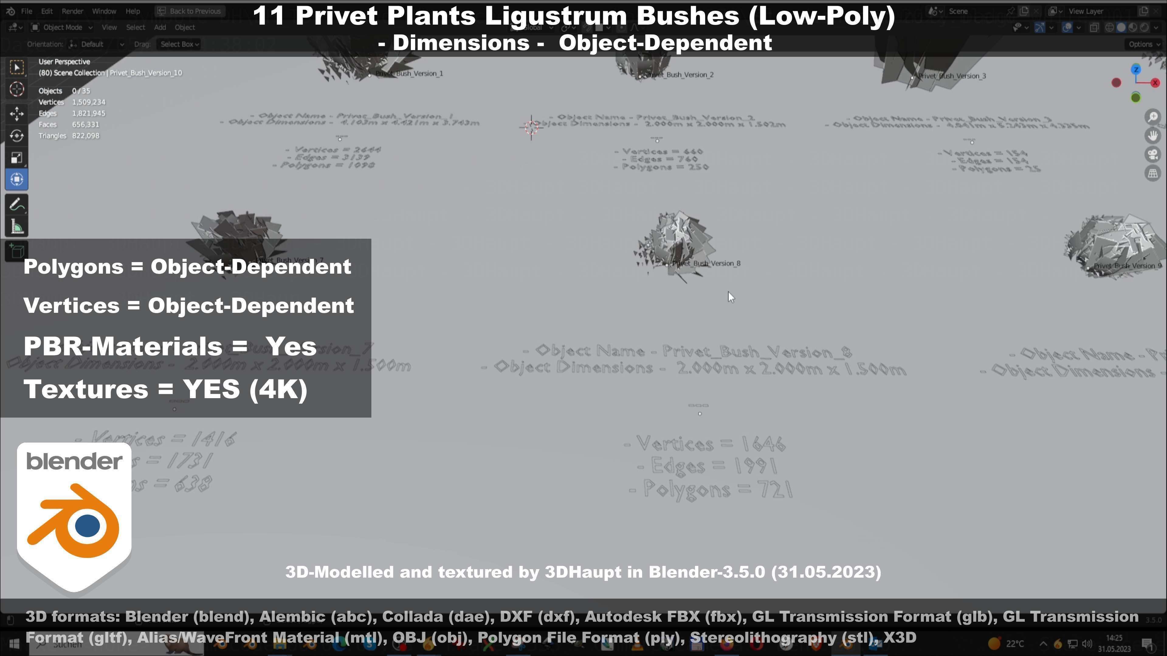 11 Privet Plants Ligustrum Low-poly 3D model_85