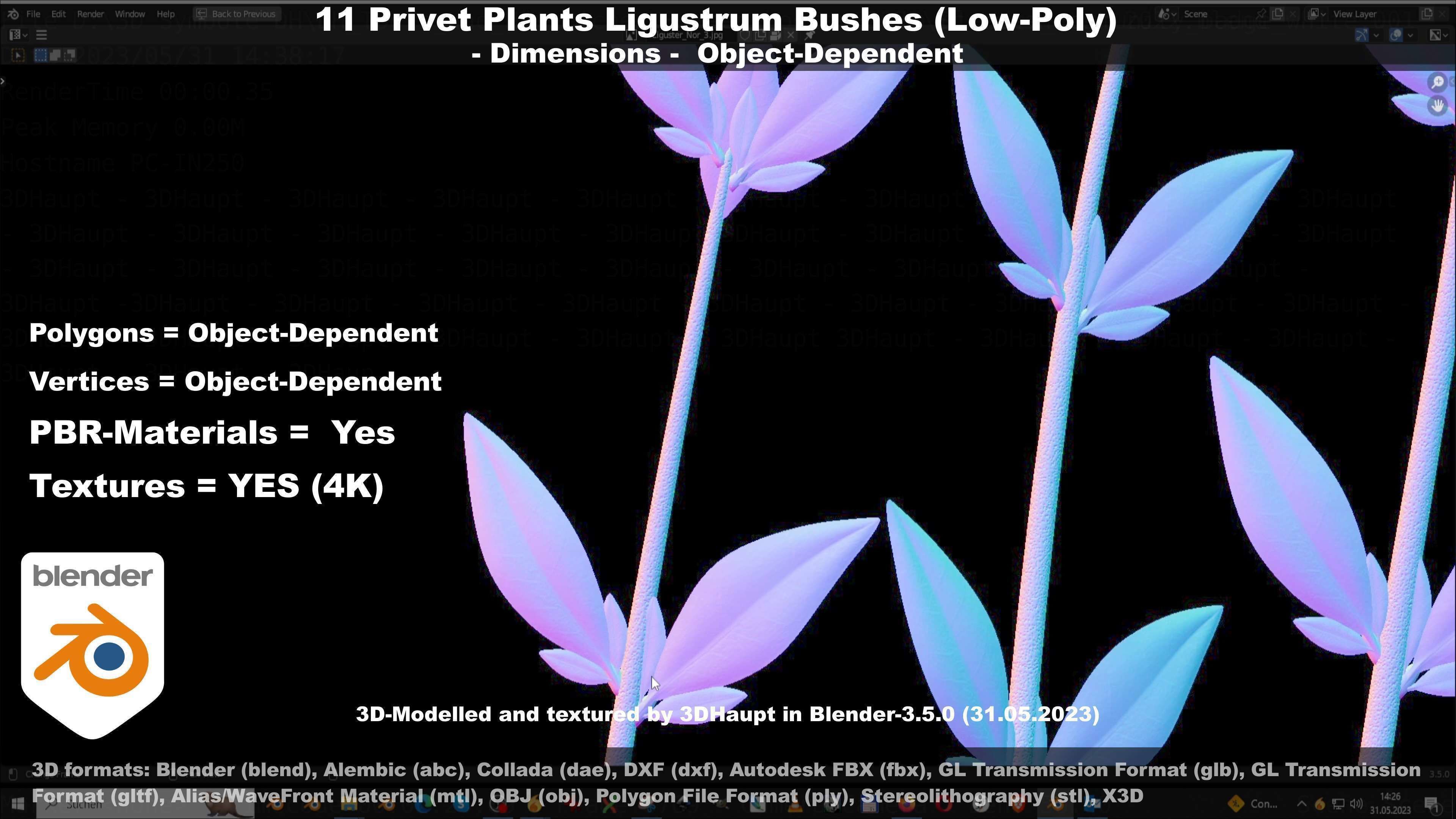 11 Privet Plants Ligustrum Low-poly 3D model_79
