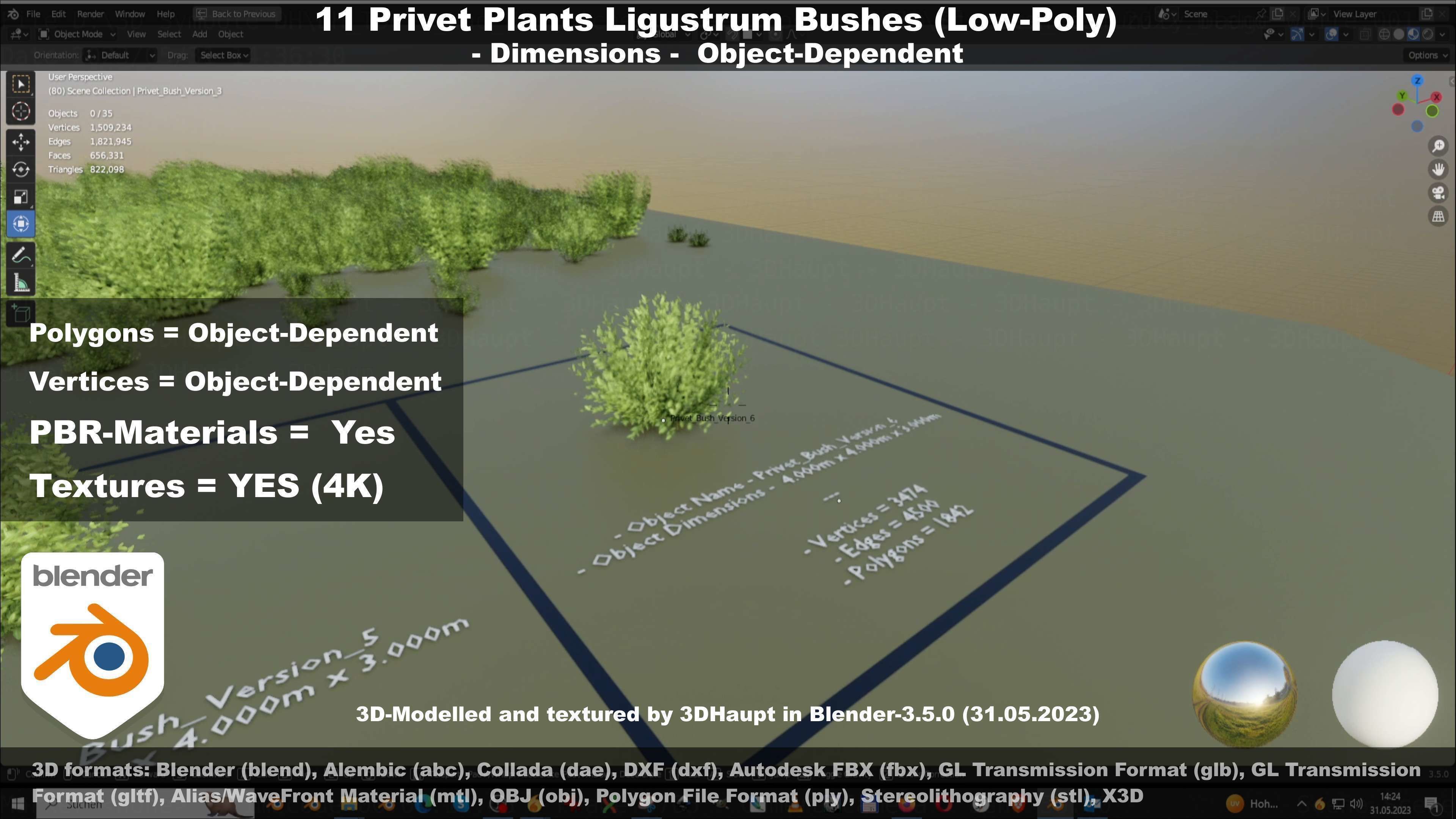 11 Privet Plants Ligustrum Low-poly 3D model_83