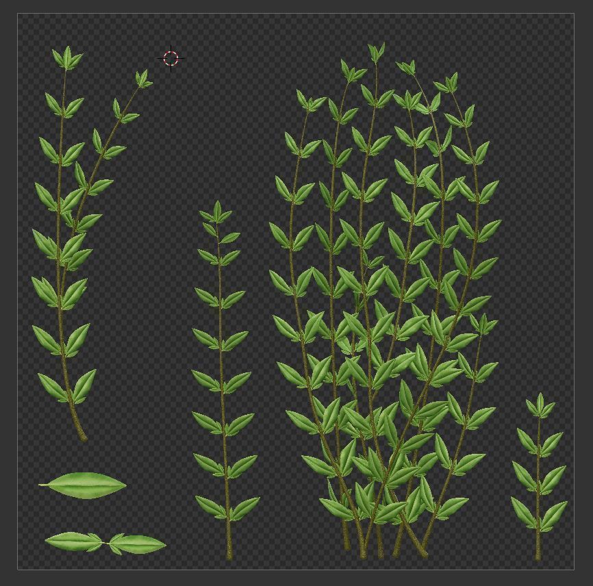 11 Privet Plants Ligustrum Low-poly 3D model_12