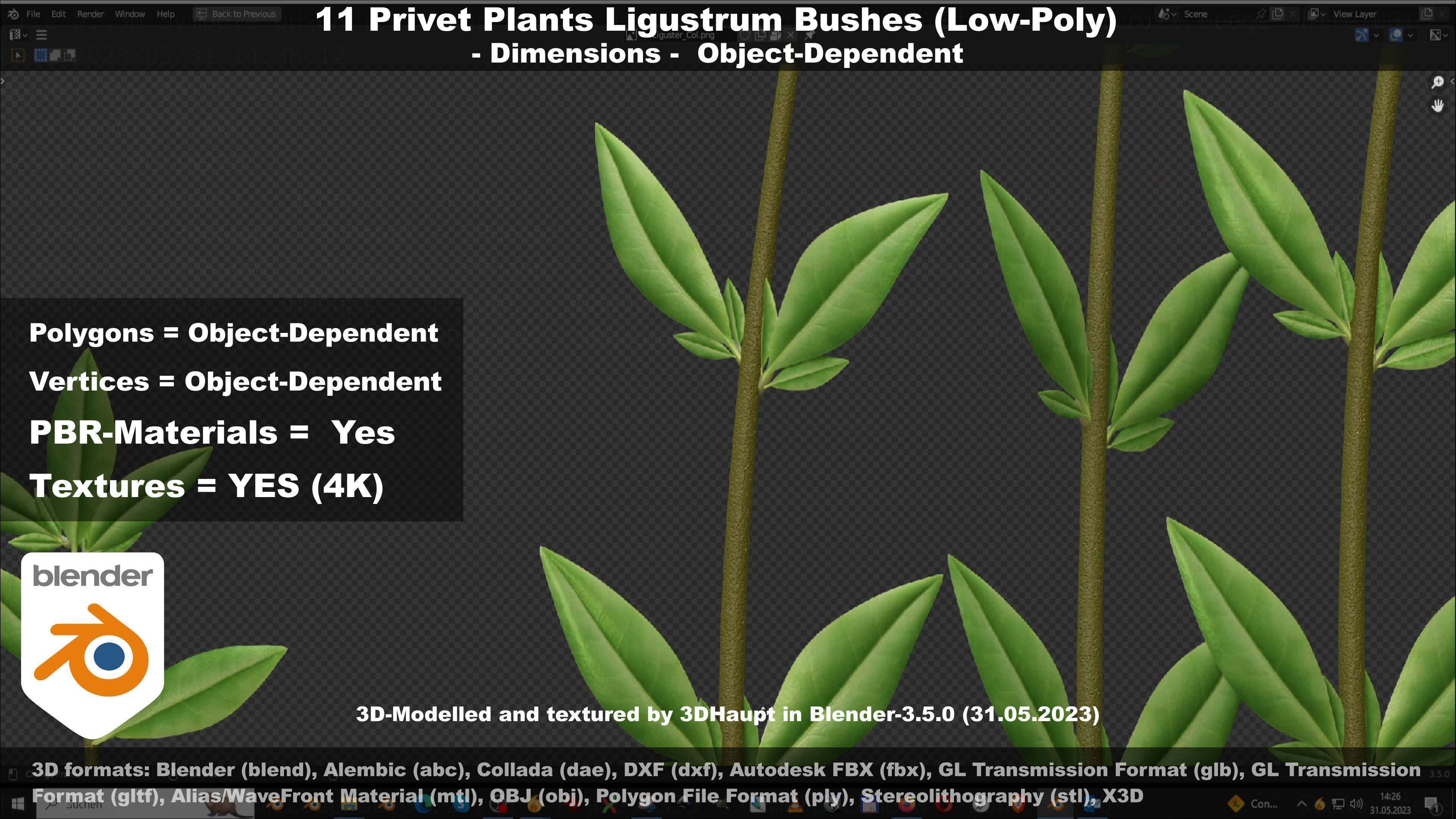 11 Privet Plants Ligustrum Low-poly 3D model_110