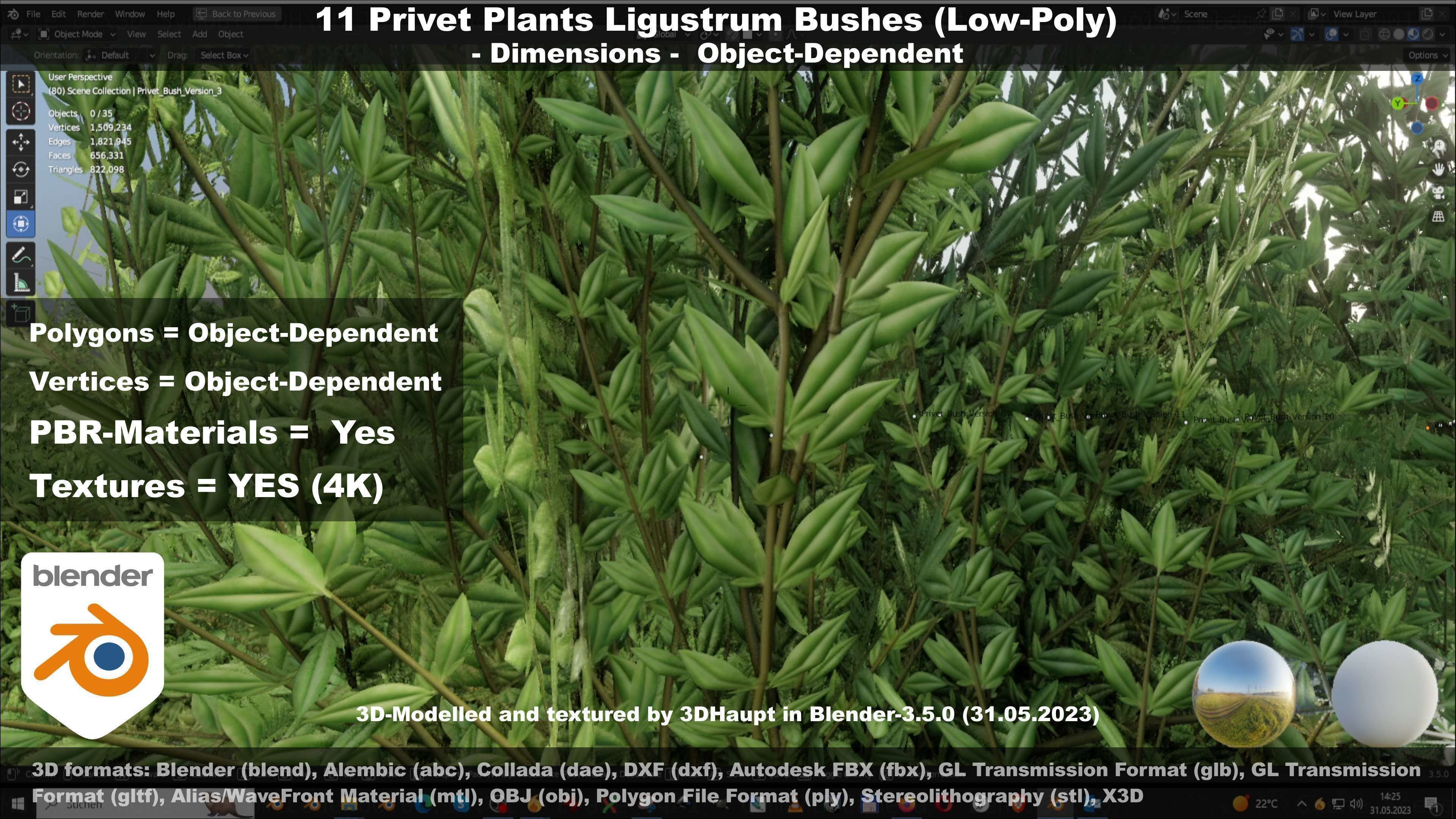 11 Privet Plants Ligustrum Low-poly 3D model_134