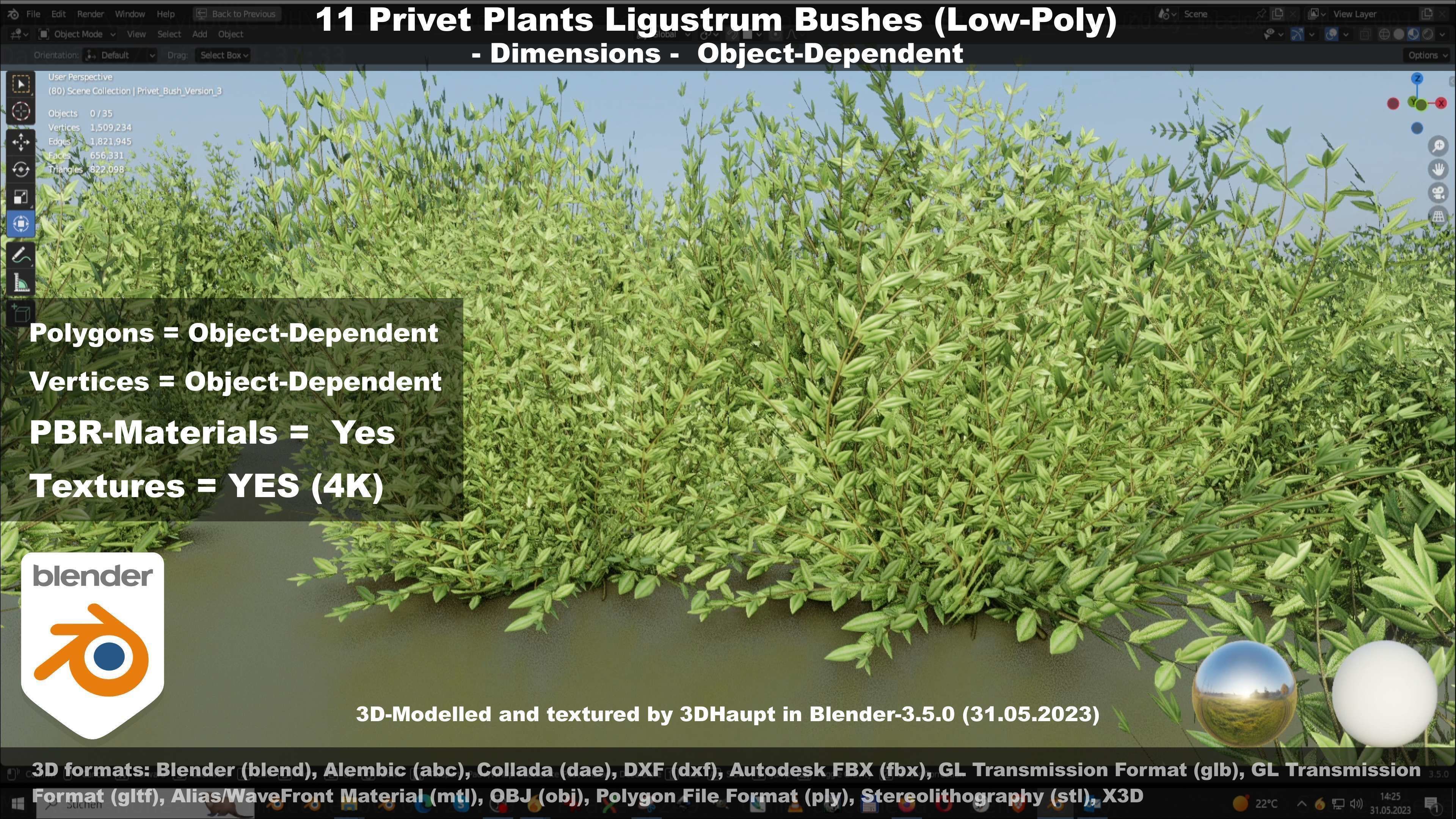 11 Privet Plants Ligustrum Low-poly 3D model_73
