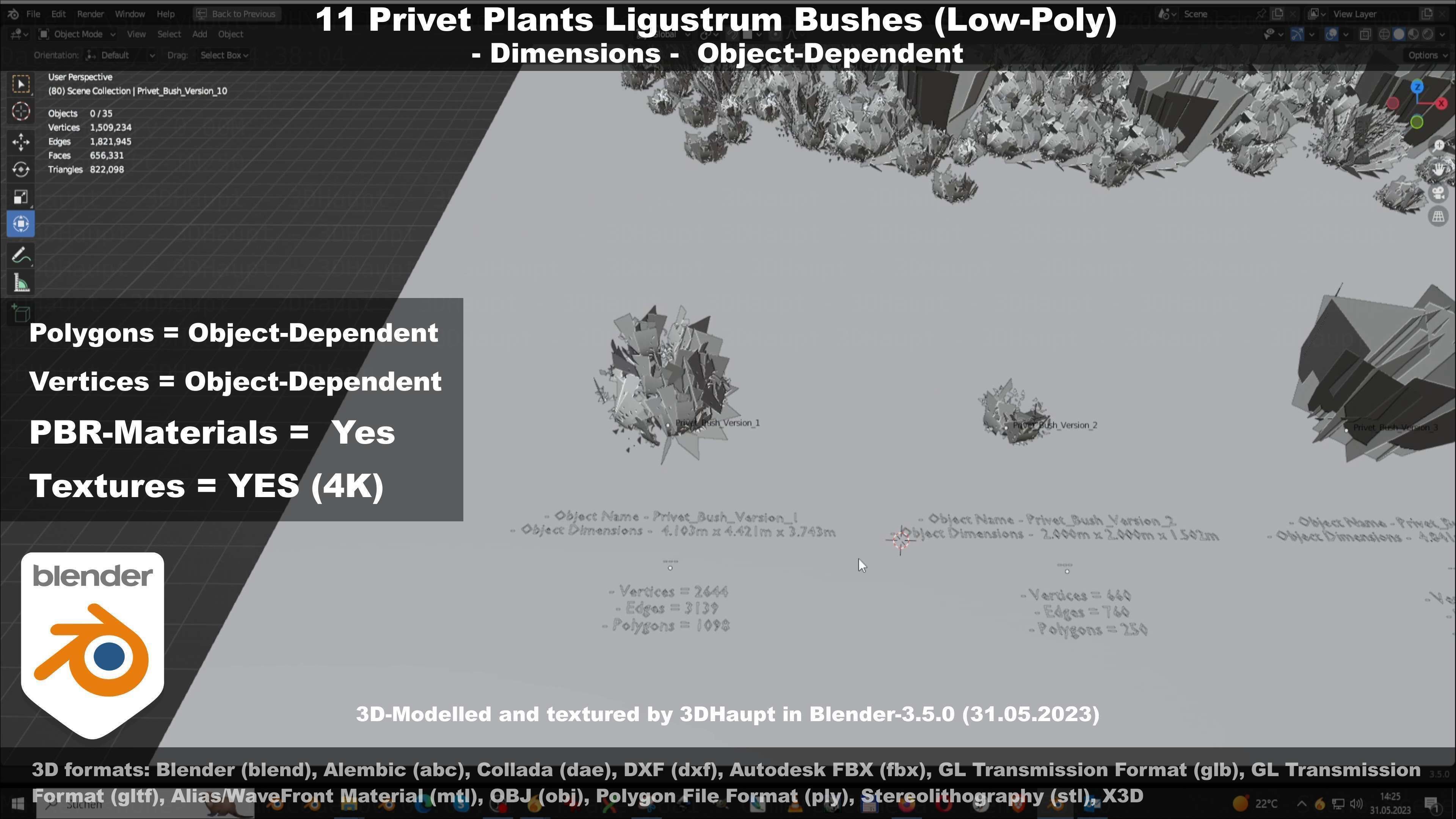 11 Privet Plants Ligustrum Low-poly 3D model_92