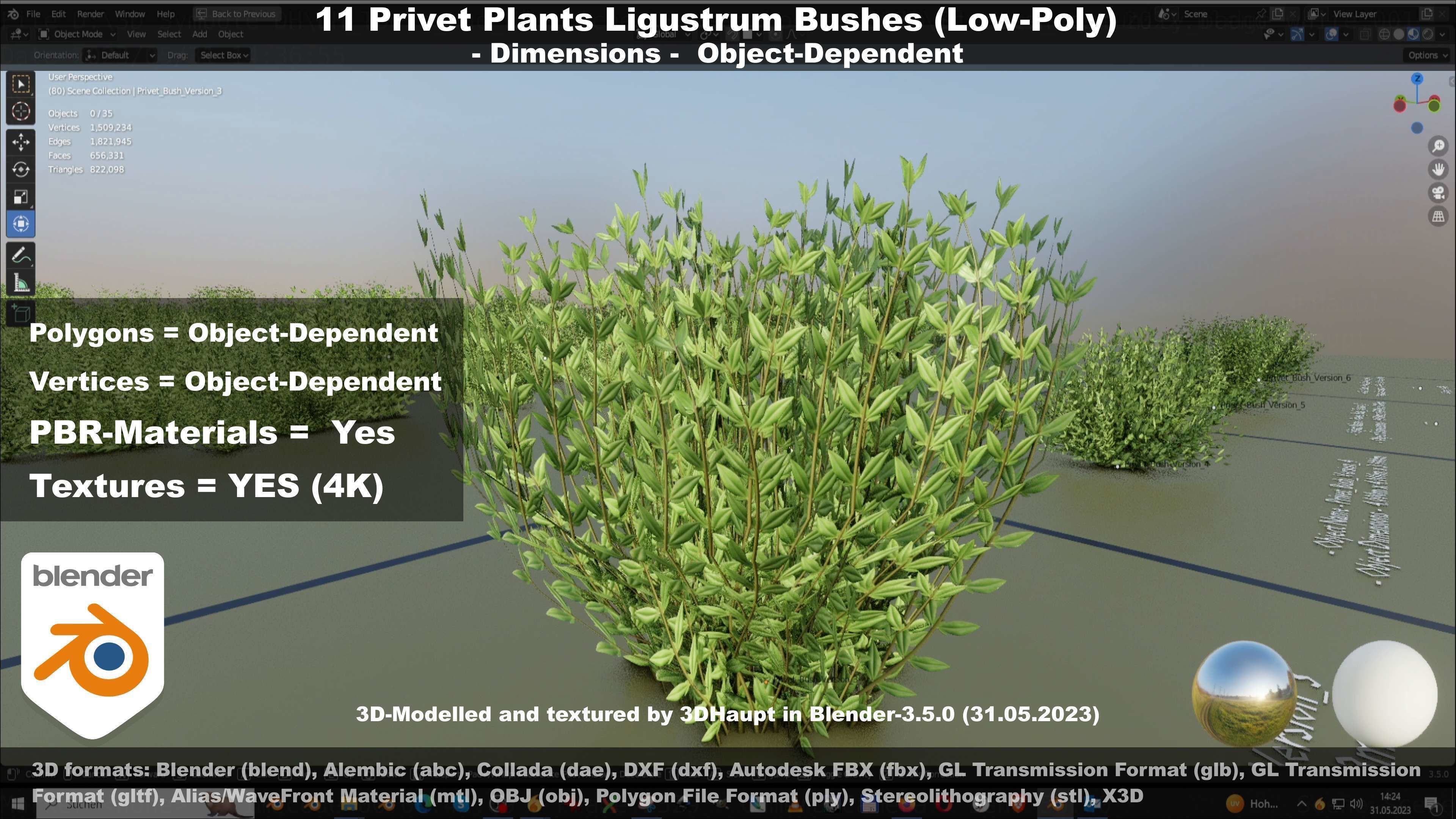 11 Privet Plants Ligustrum Low-poly 3D model_65