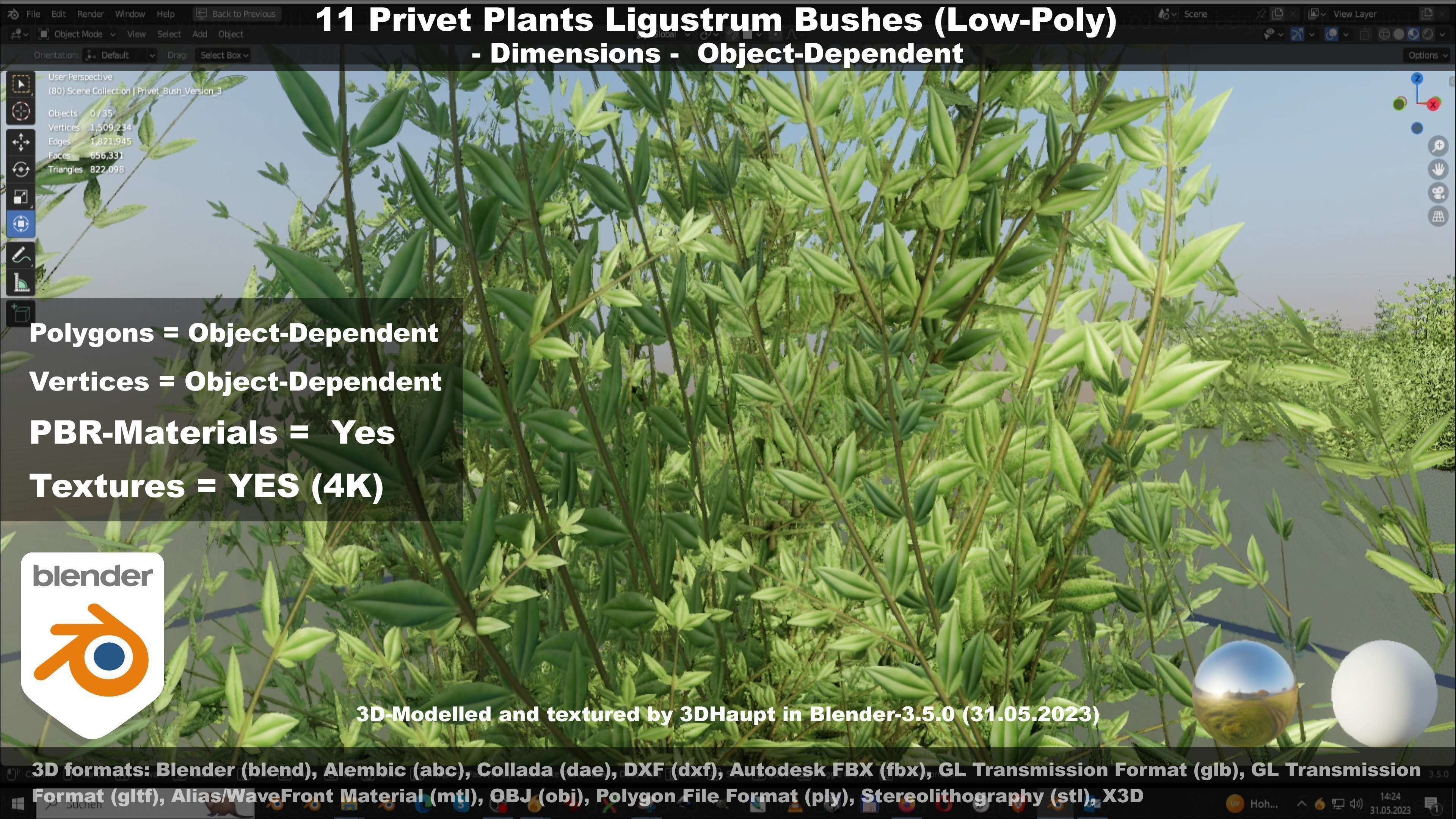 11 Privet Plants Ligustrum Low-poly 3D model_128