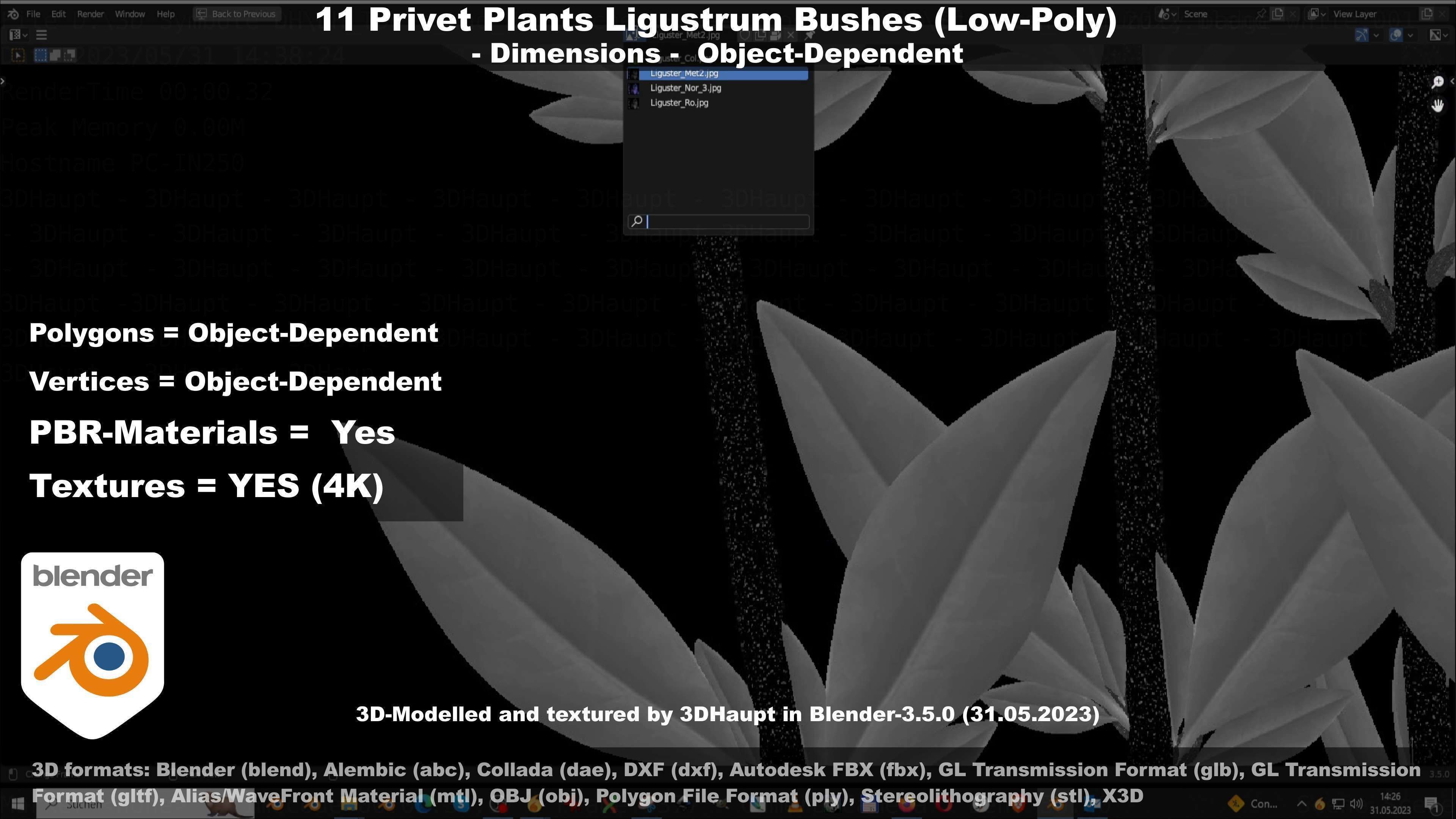 11 Privet Plants Ligustrum Low-poly 3D model_31