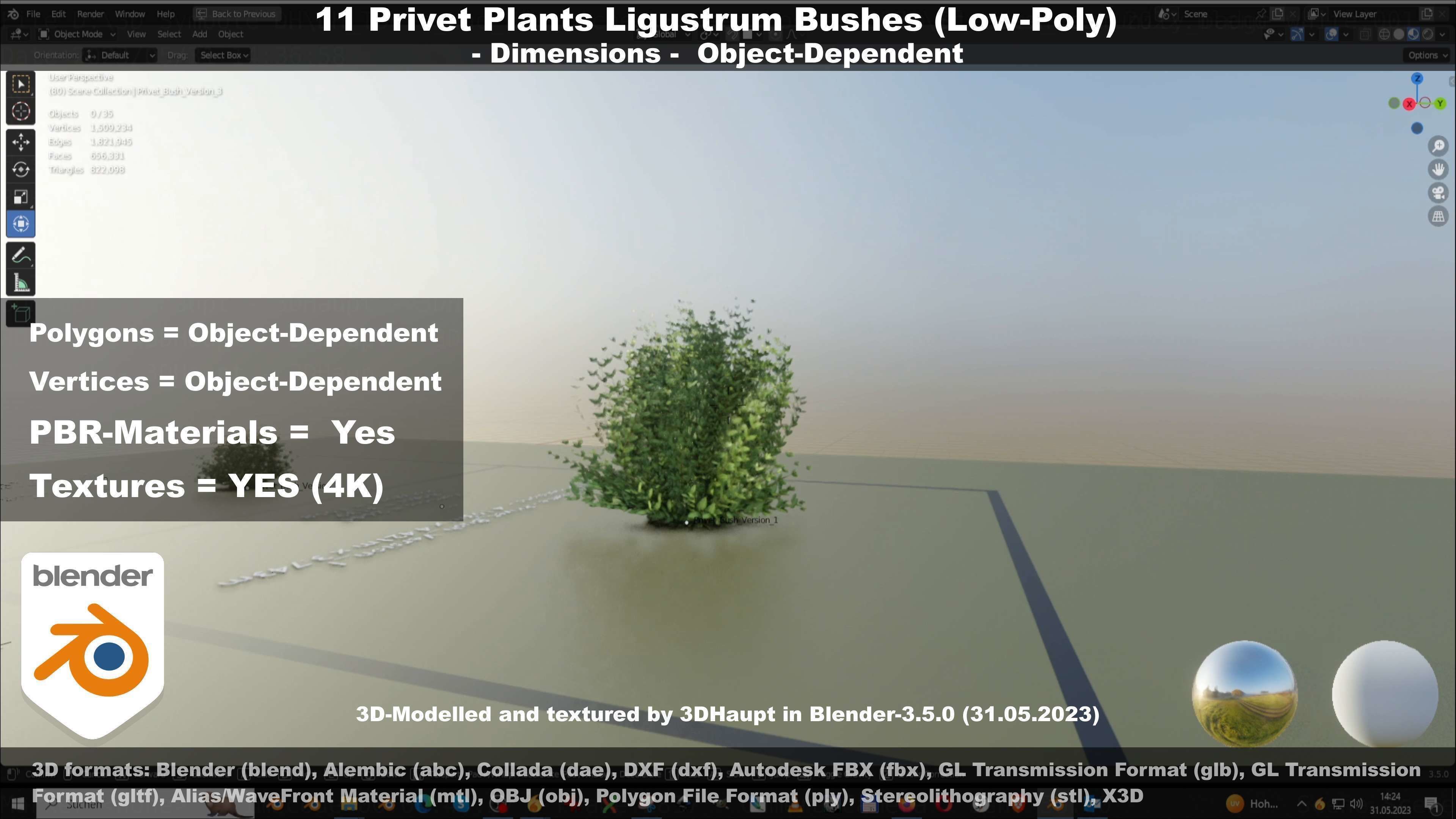 11 Privet Plants Ligustrum Low-poly 3D model_22