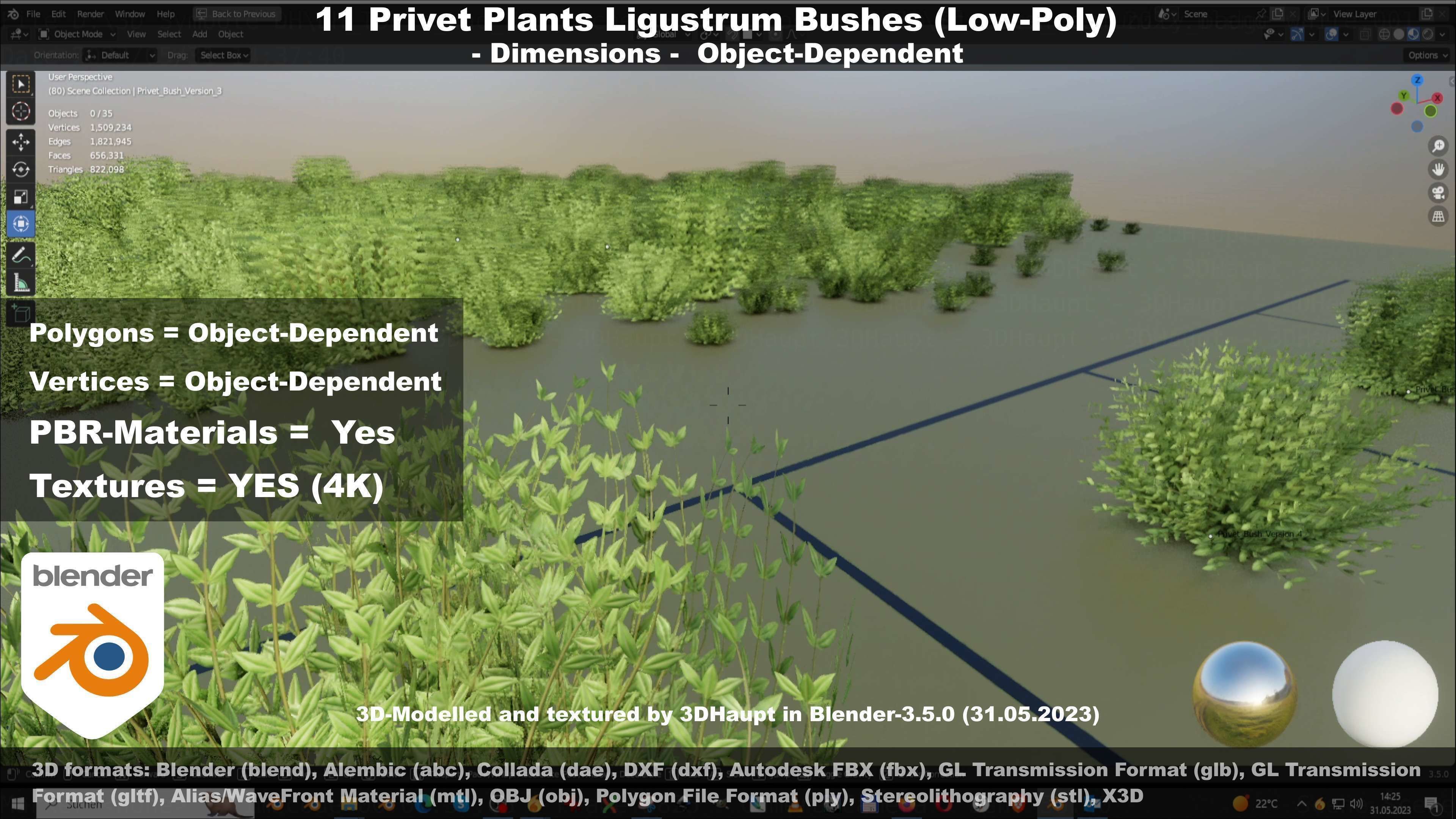 11 Privet Plants Ligustrum Low-poly 3D model_53