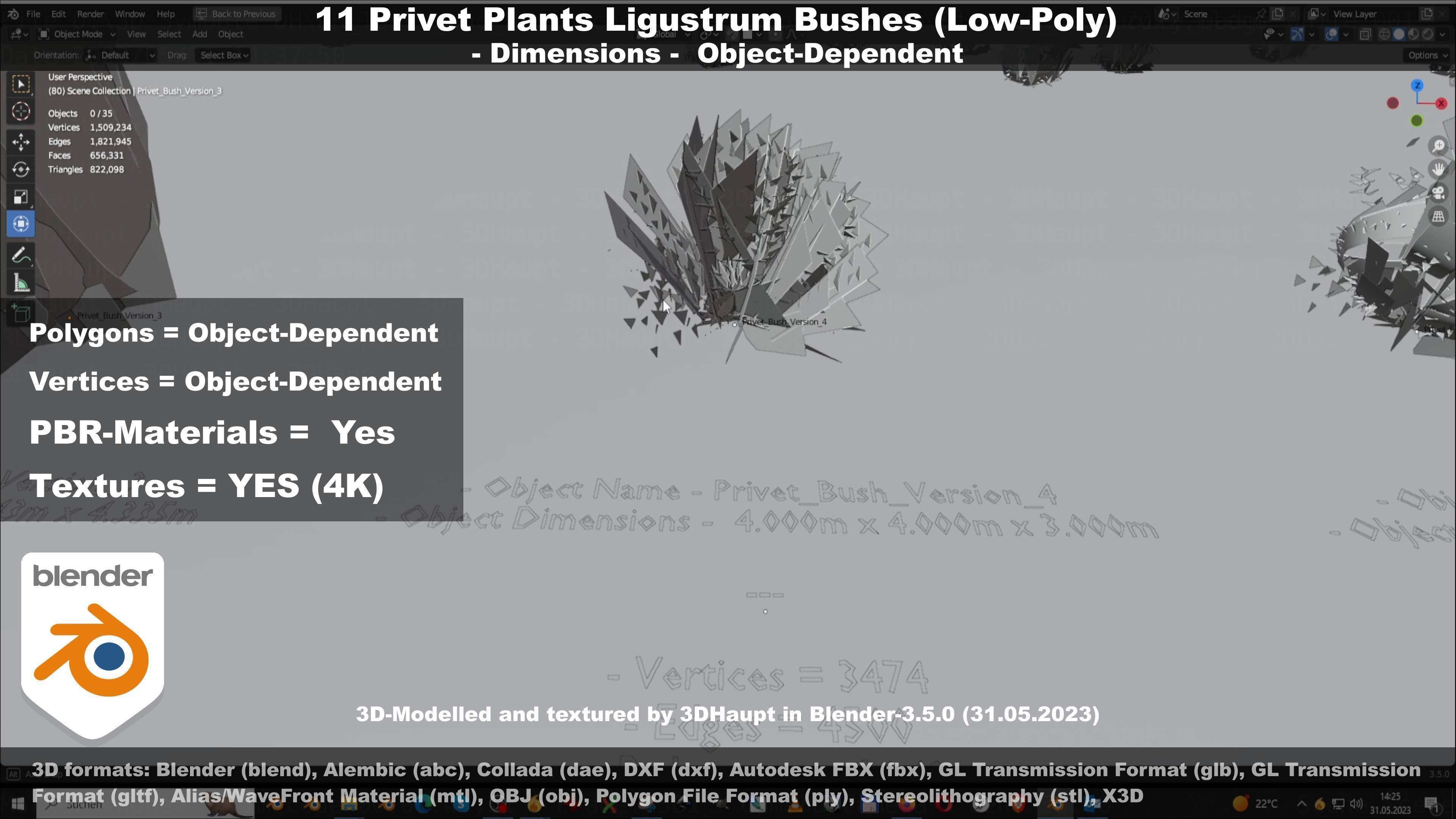 11 Privet Plants Ligustrum Low-poly 3D model_77