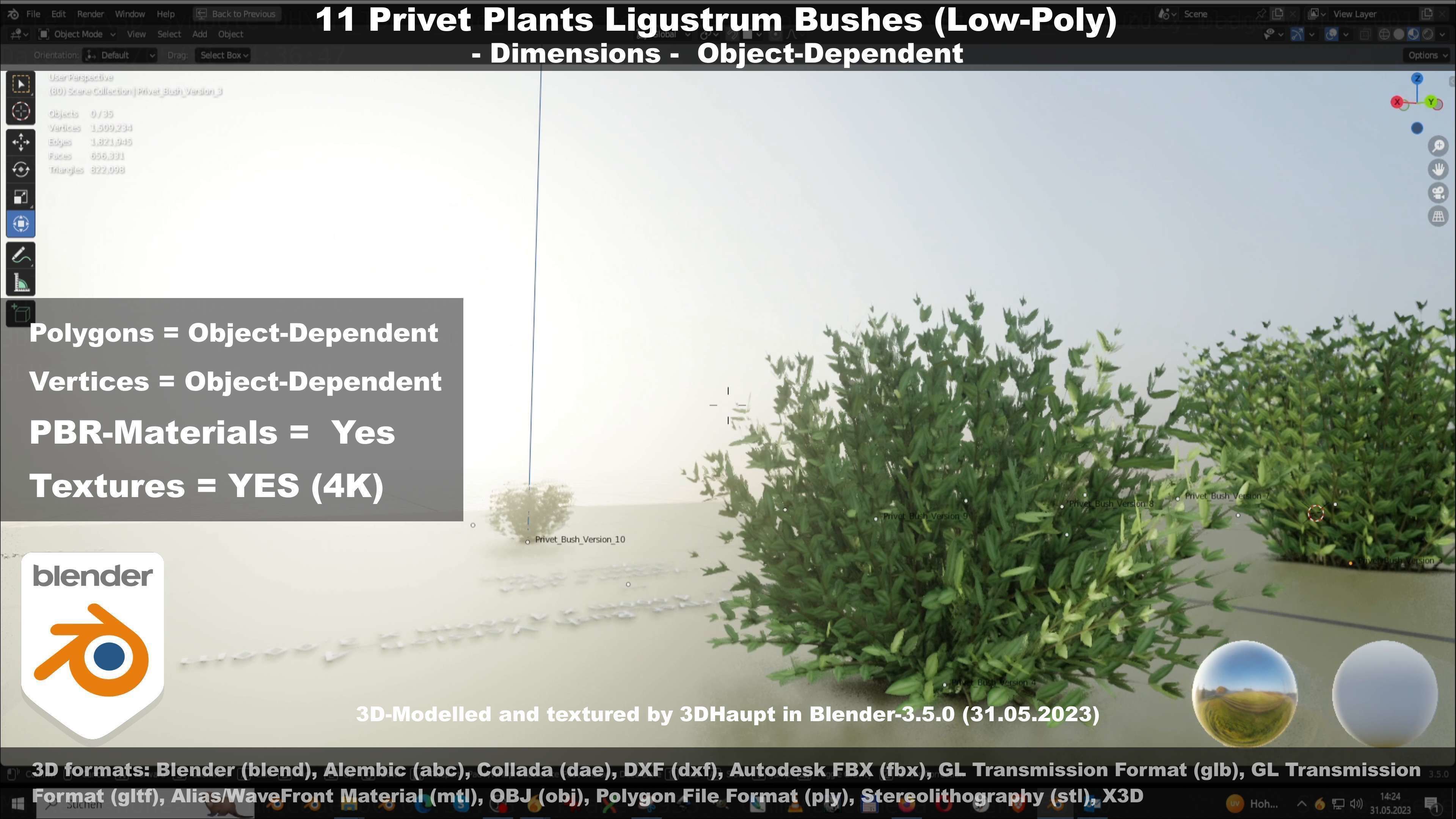 11 Privet Plants Ligustrum Low-poly 3D model_120