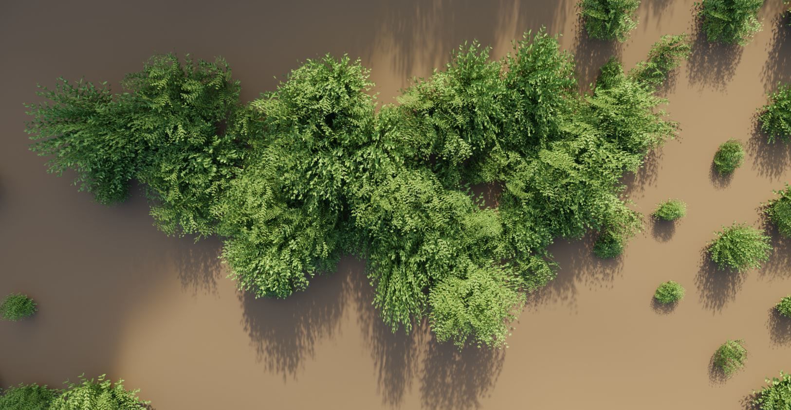 11 Privet Plants Ligustrum Low-poly 3D model_1