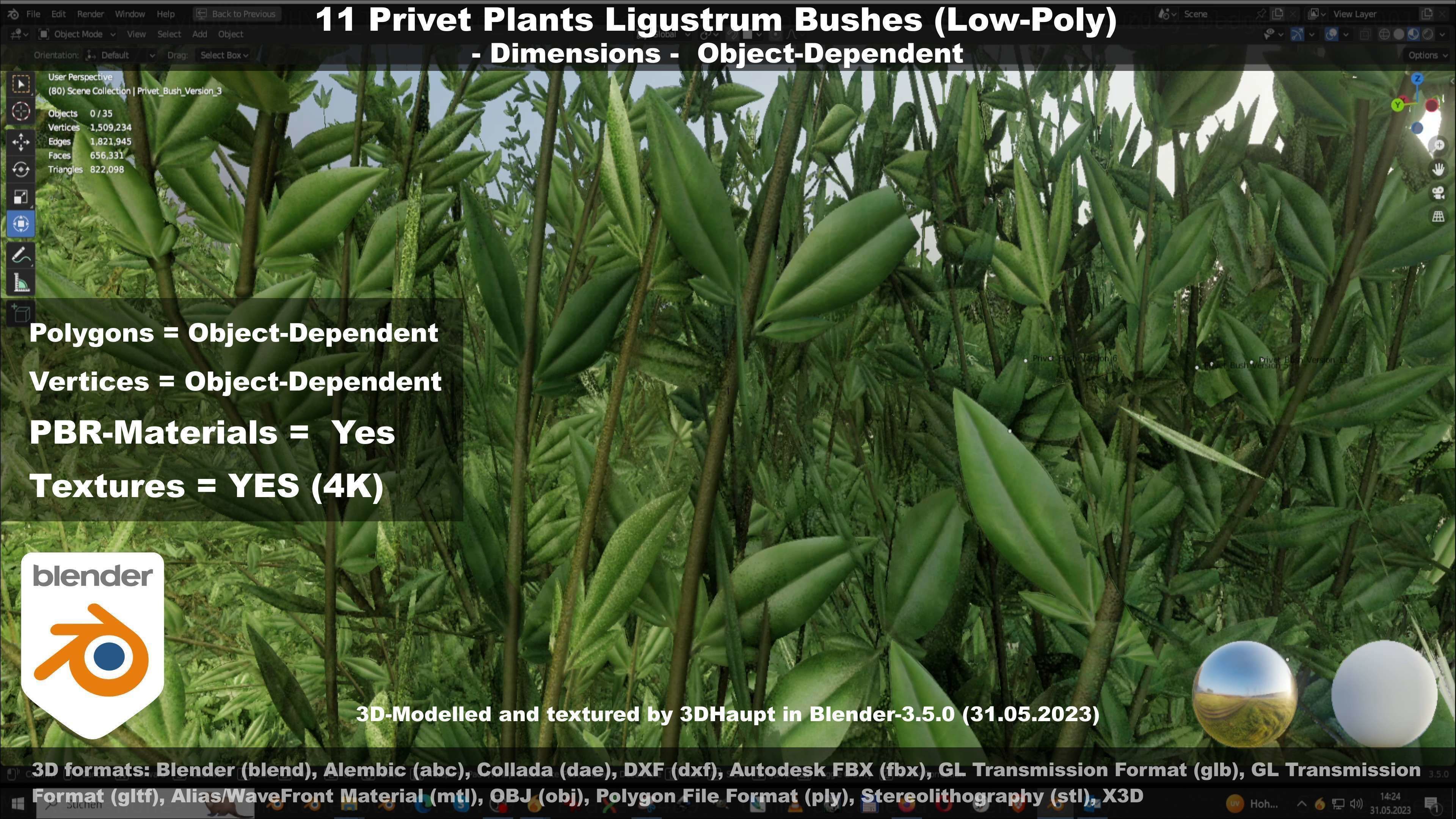 11 Privet Plants Ligustrum Low-poly 3D model_26