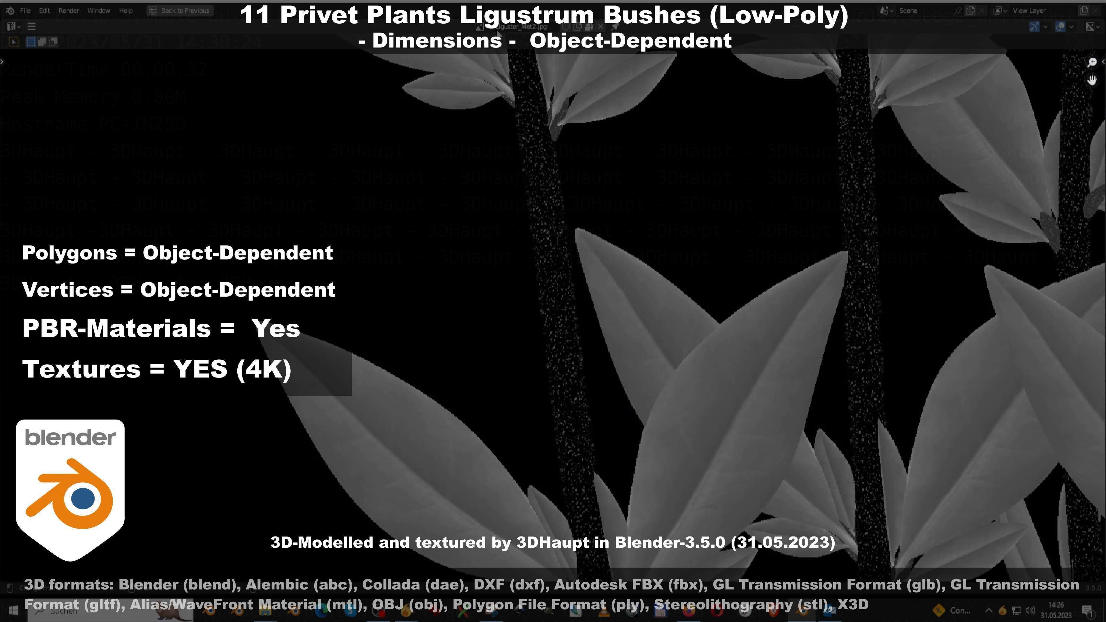 11 Privet Plants Ligustrum Low-poly 3D model_84